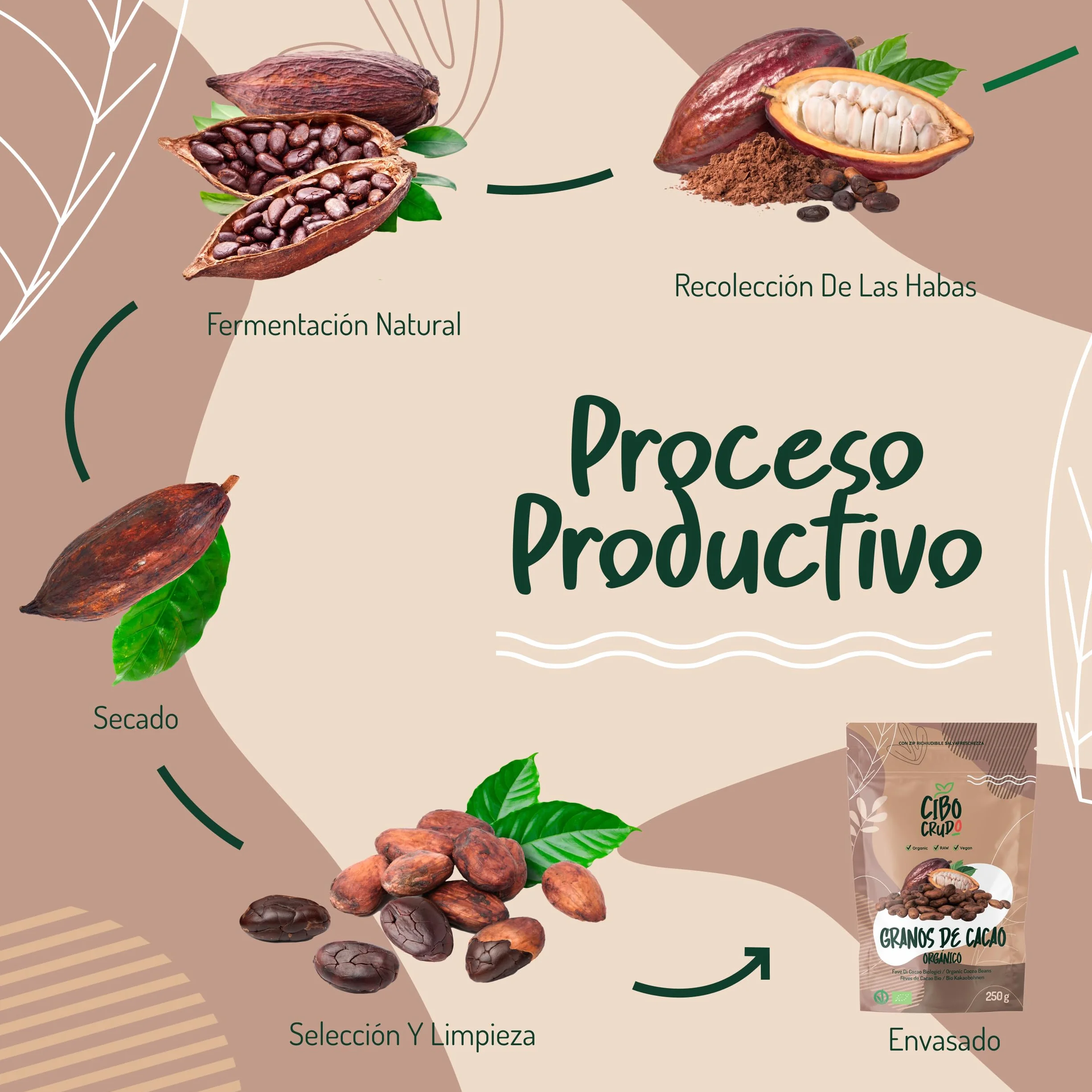 Granos de Cacao Crudo Orgánico 250g - Cacao Puro de Guatemala, Grano o Nibs 100% Natural