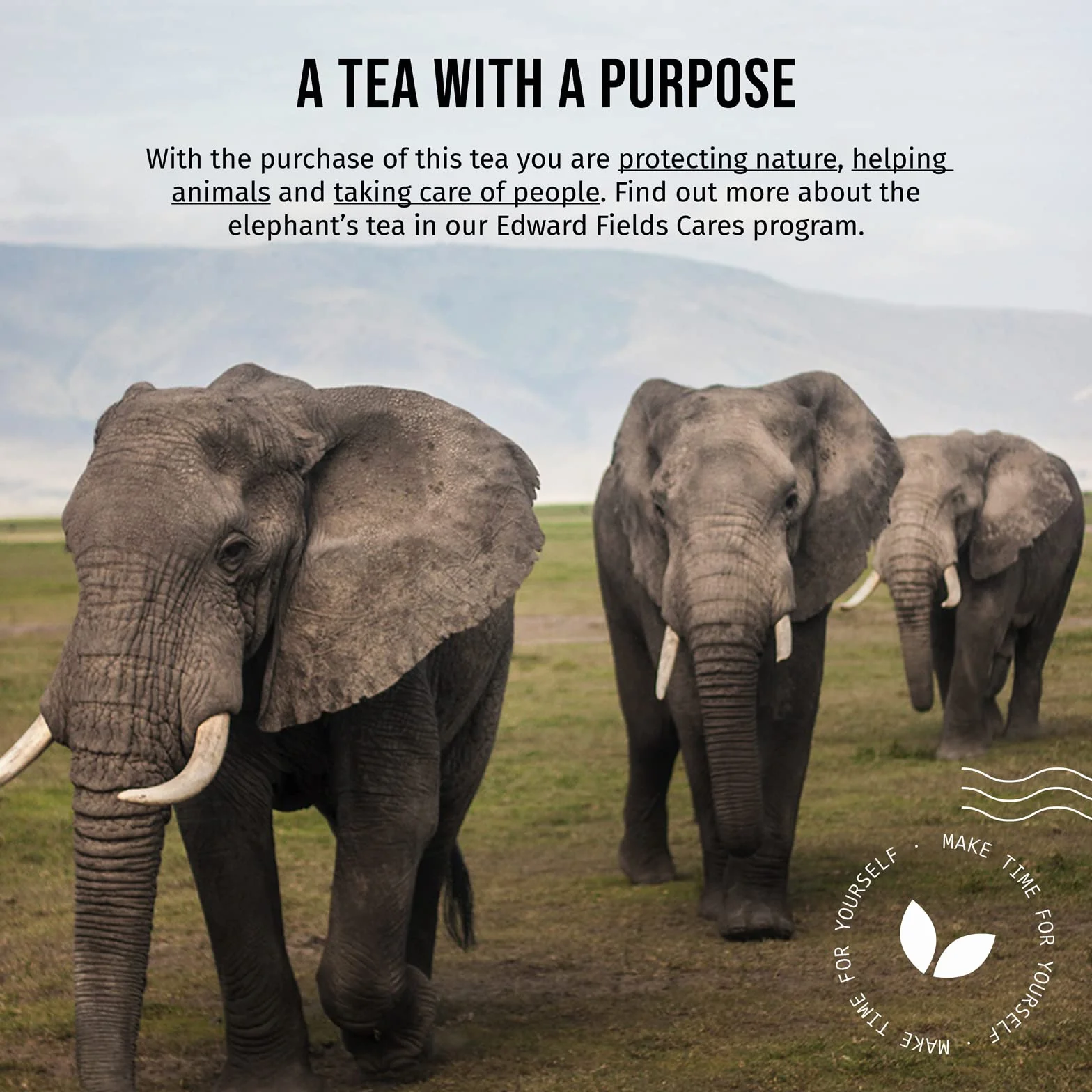 Edward Fields Tea Pu Erh orgánico a granel 100g Yunnan China