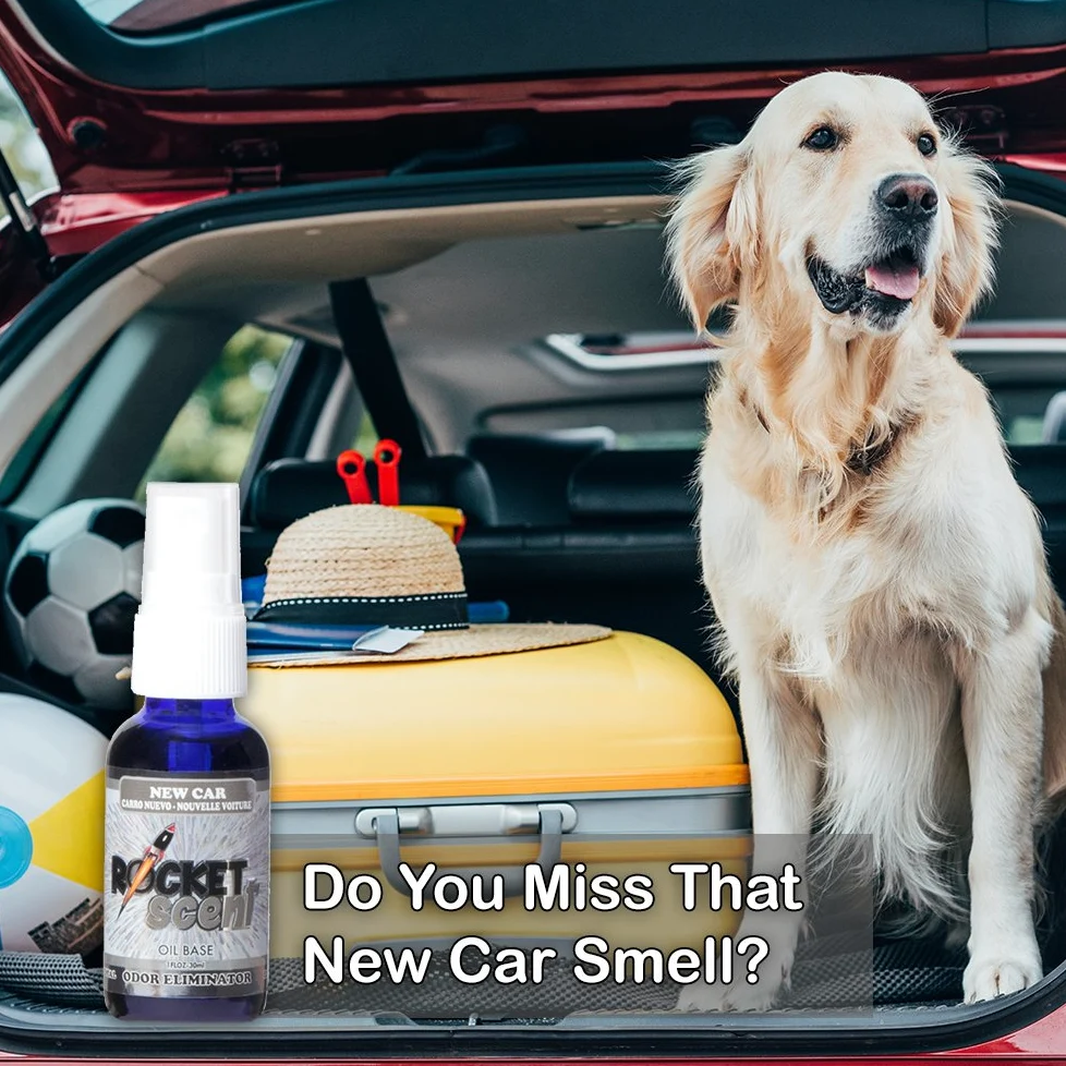 Rocket Scent, ambientadores de aceite + eliminador de olores y humo + hogar, coche, oficina, baño, desodorizador + coche nuevo, mango, lino fresco, aroma a polvo + paquete de 4 unidades