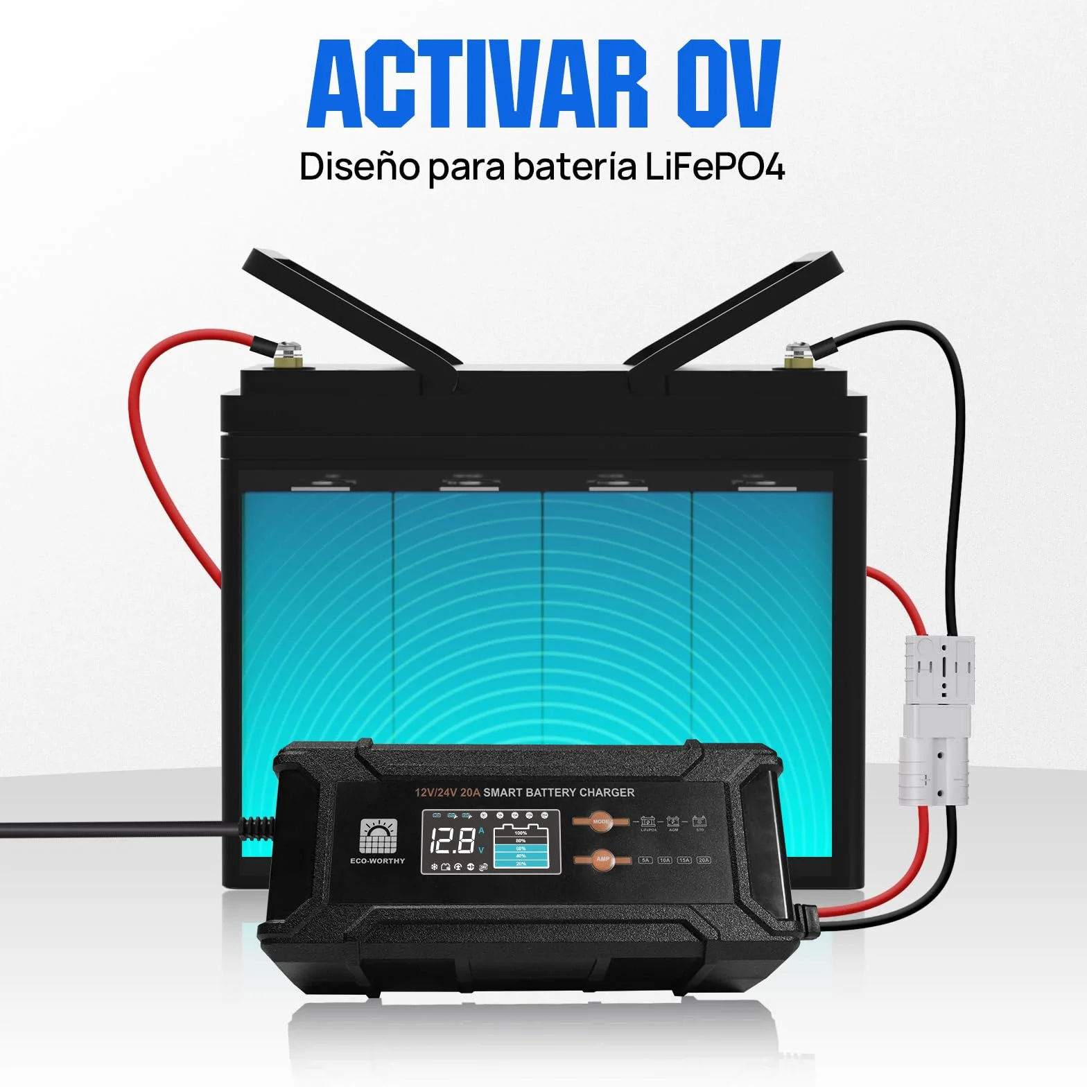 ECO-WORTHY 12 V/24 V 20 A Cargador de batería LiFePO4 con opciones multicanal 5 A/10 A/15 A/20 A, detección automática de voltaje de la batería Ploácido LiFePO4