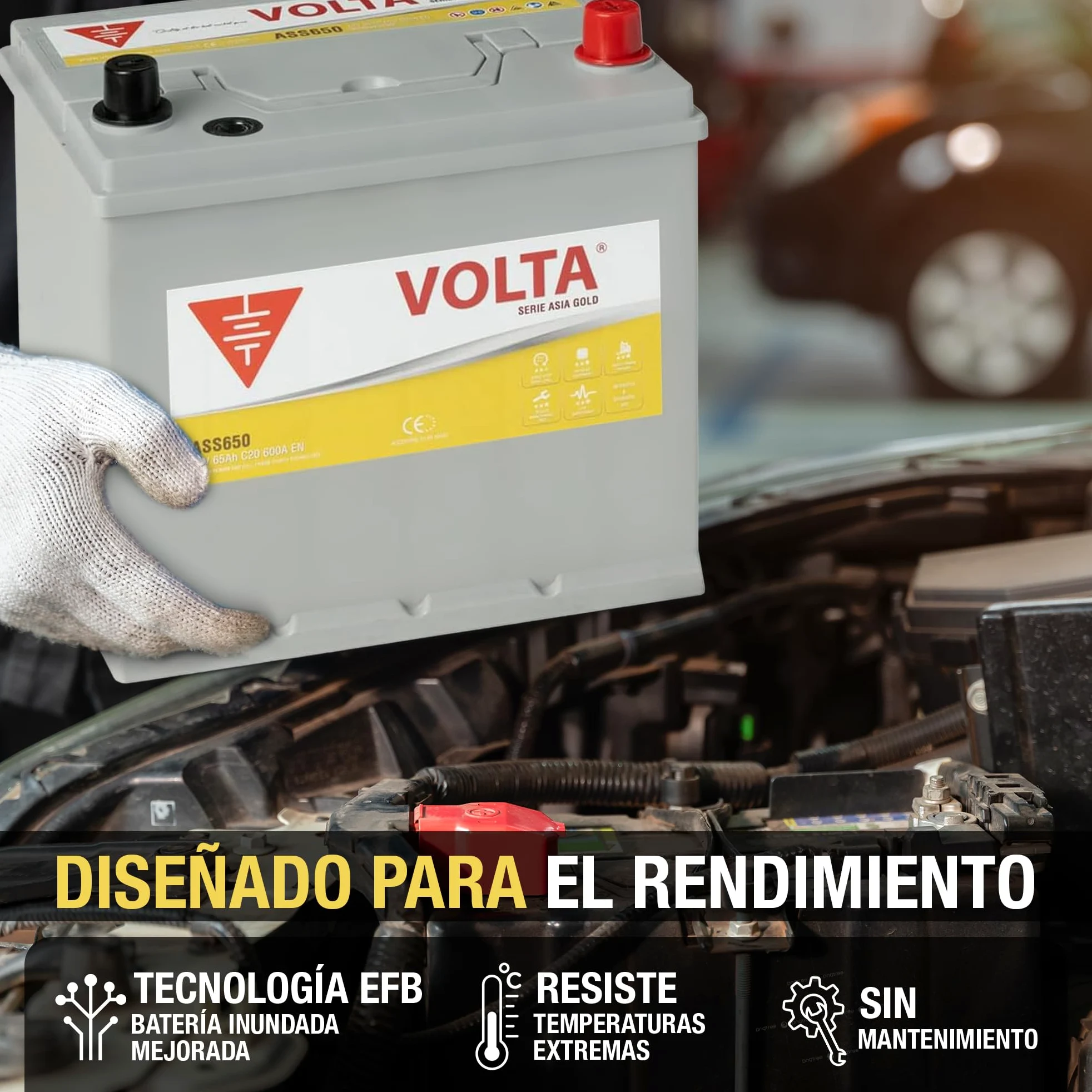 Batería de Coche Start-Stop EFB 65Ah 600 AEN - Volta Gold Asia ASS650D - Sistema Start-Stop - Borne +Derecha - Medidas Largo 230 x Ancho 173 x Alto 225 mm con 2 Años Garantía - Fabricación Europea