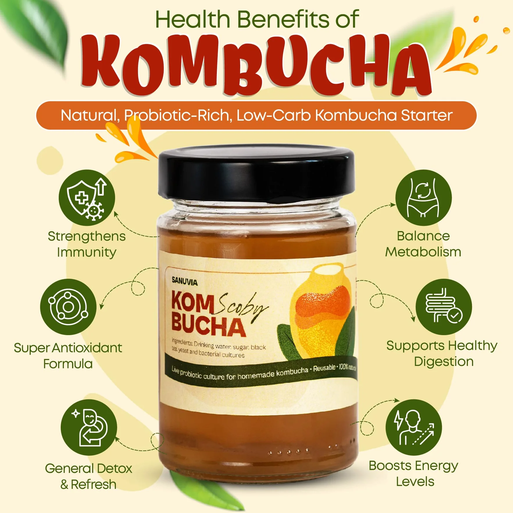 SANUVIA Kombucha SCOBY Starter Culture – Hongo de té con 300 ml de té iniciador en frasco de vidrio – Vegano, cultivo vivo, reutilizable
