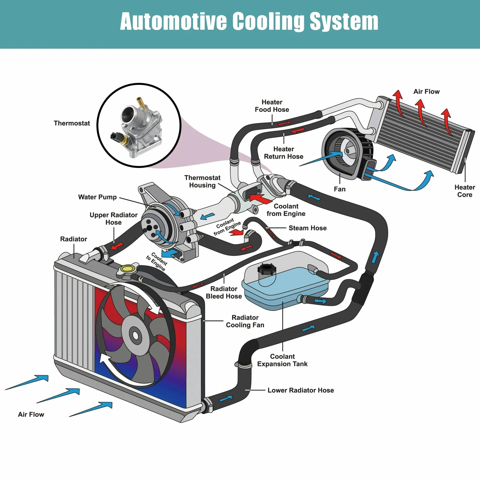 Termostato de refrigerante del motor Termostatos d 31293698 Conjunto de carcasa del termostato del refrigerante del motor, compatible con Volvo XC90 03-06