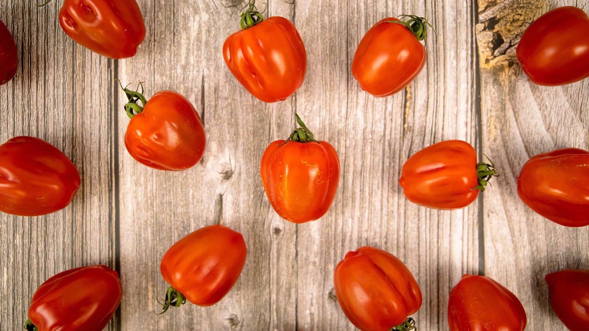 Tomate fresco Wabi-Sabi 0,85kg Origen España Andalucía Costa Tropical Cooperativa Granada La Palma