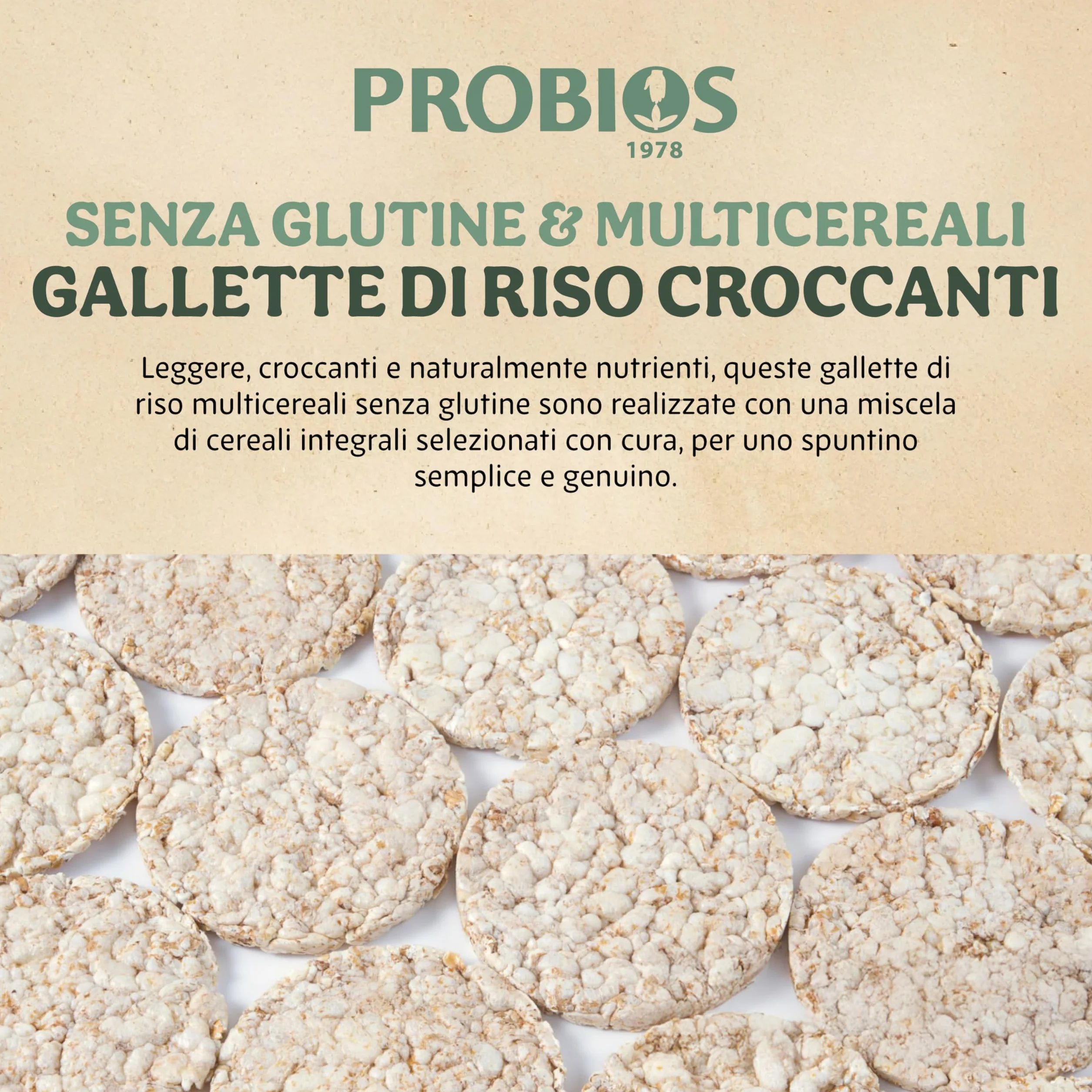 Probios Rice&Rice Tortitas de Arroz con Cereales 12 x 100 gr 1200 gr