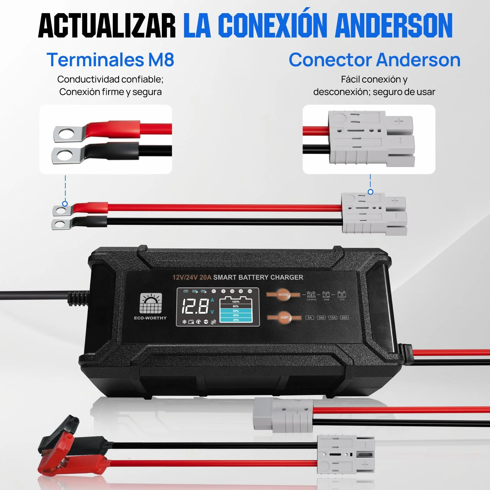 ECO-WORTHY 12 V/24 V 20 A Cargador de batería LiFePO4 con opciones multicanal 5 A/10 A/15 A/20 A, detección automática de voltaje de la batería Ploácido LiFePO4