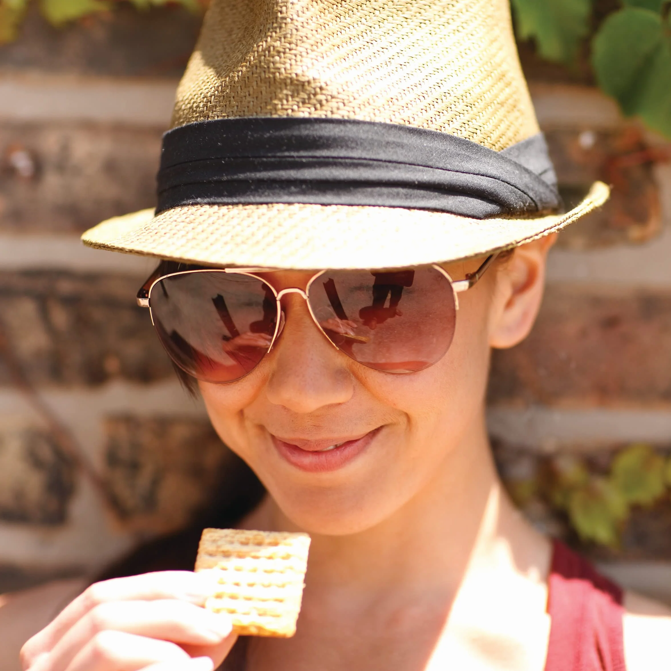 Original Whole Grain Wheat Crackers, Vegan, Family Size, 12.5 oz