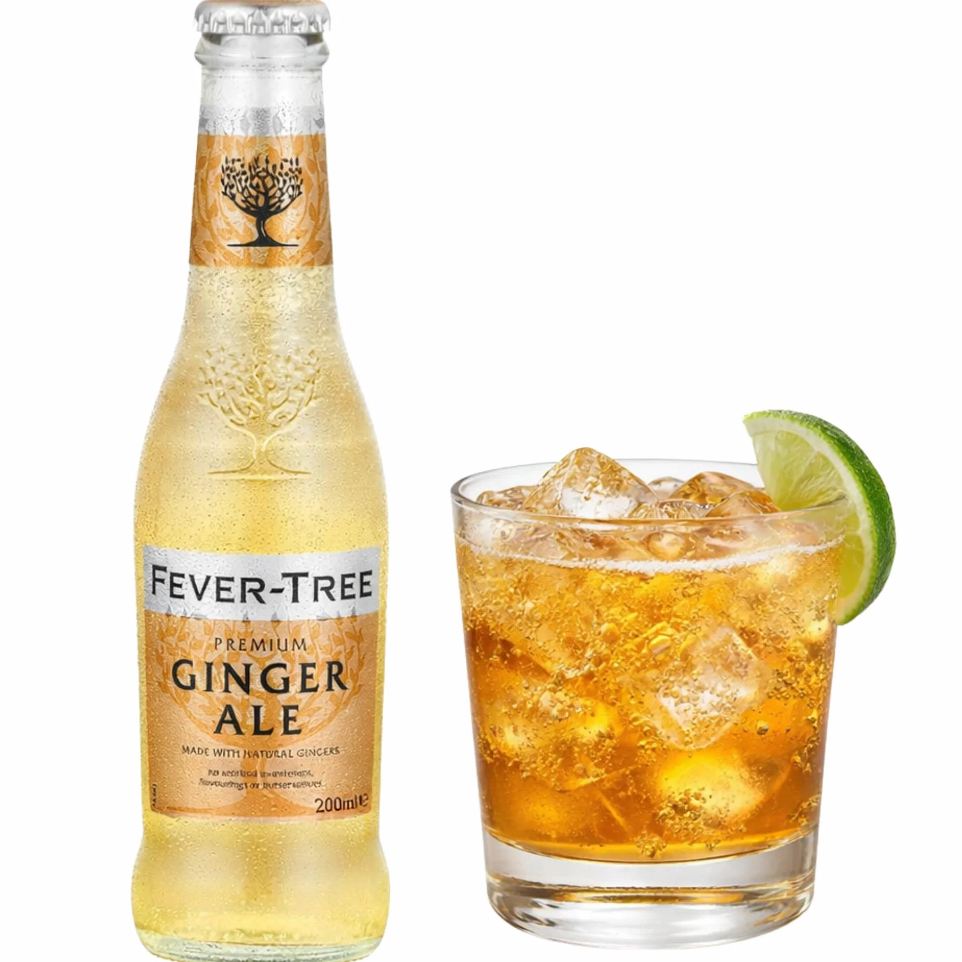 Fever Tree Ginger Ale Premium Ginger Beer 200ml Pack de 4 Botellas Whisky Ginger