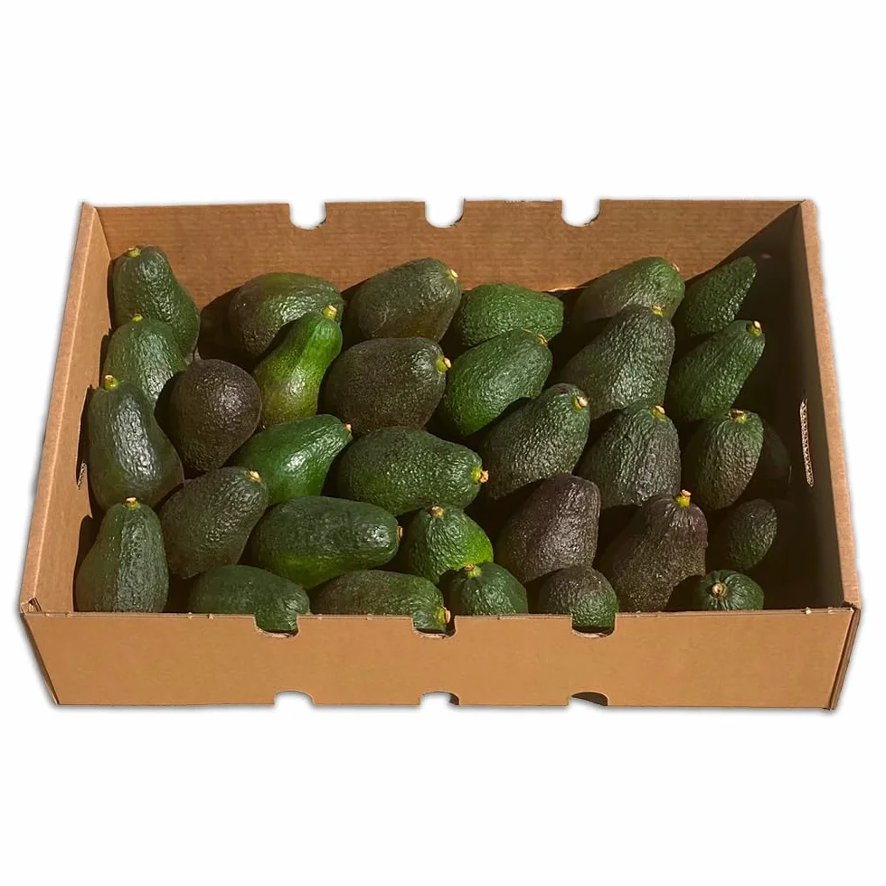 Aguacate Hass fresco 9 Kg producción local Castellón España cultivo sostenible sin químicos