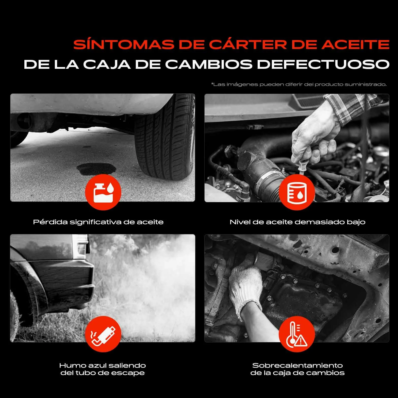 Frankberg Cárter de aceite 09L321359 | Compatible con: A4 8EC, A8 4E2 4E8, A6 4F2, A6 Avant 4F5, A4 Avant 8ED