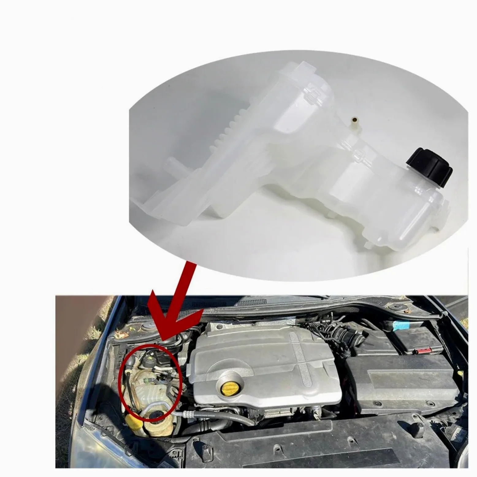 para Latitude 2010 2011 2012 2013 2014 2015 217100001R Tanque de expansión de refrigerante del radiador del Motor Depósito de refrigerante