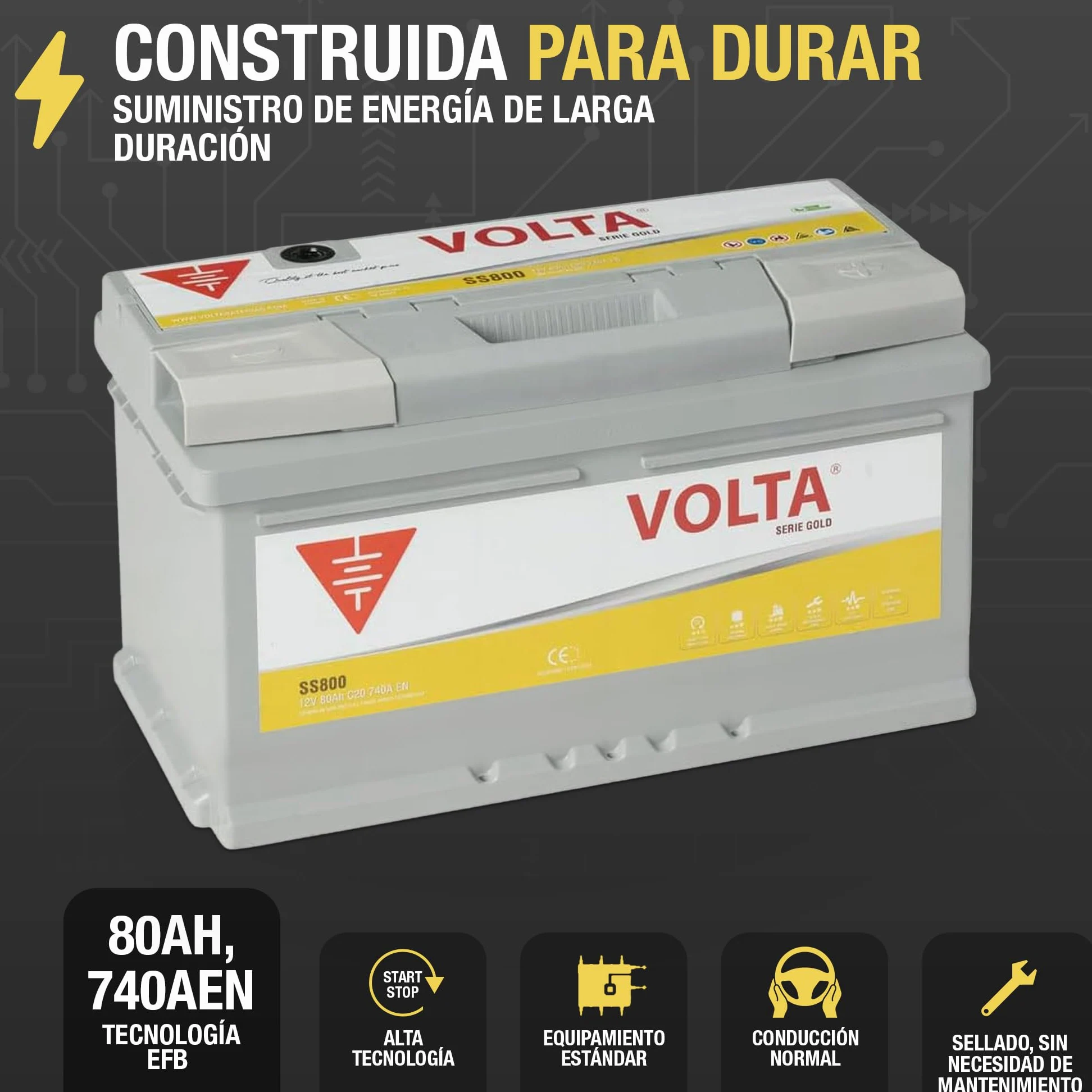 Bateria de Coche Gold 80Ah 740A Volta SS800D - Start Stop - Borne +Dcha - Medidas Largo 315 x Ancho 175 x Alto 175 mm con 2 años de Garantía - Fabricación Europea.