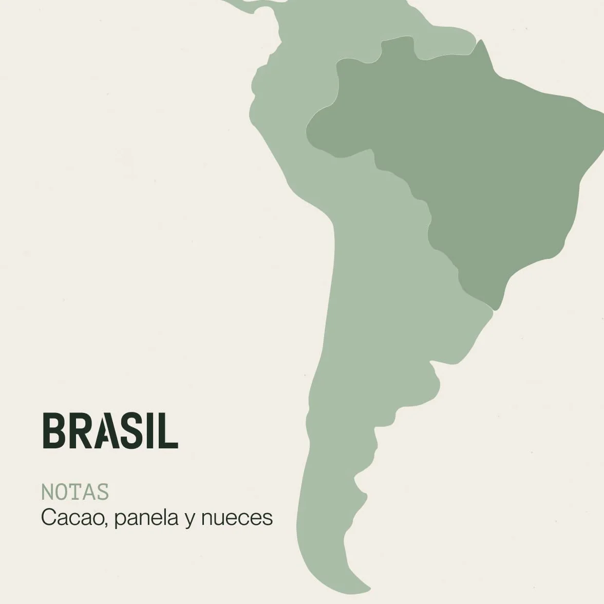 Incapto Café Descafeinado de Especialidad en Grano 500g 100% Arábica Brasil Swiss Water Decaf