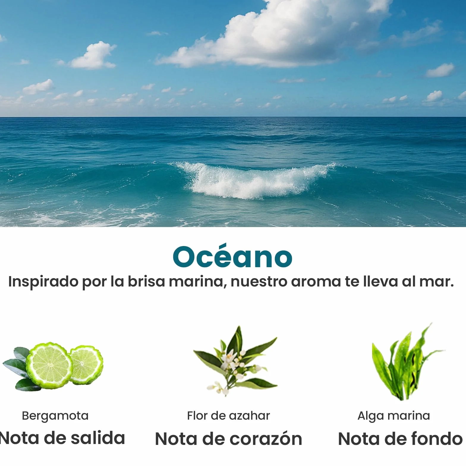 Para BJ 573 Recarga de Perfume para Coche – 50 ml Fragancia Francesa – Para Difusores – Dura 4-6 Meses (Océano)
