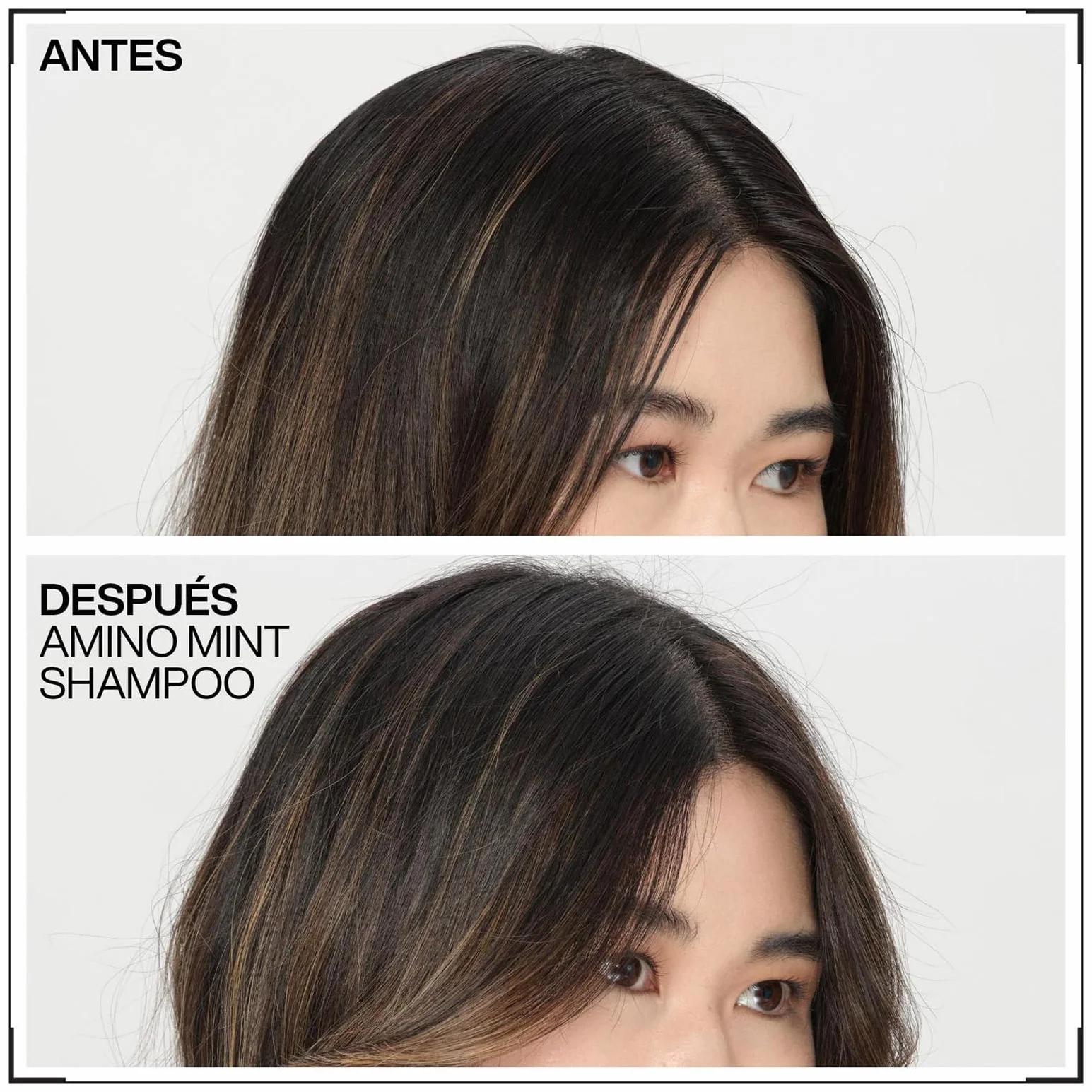 Redken Champú de Menta Anti Grasa 300 ml