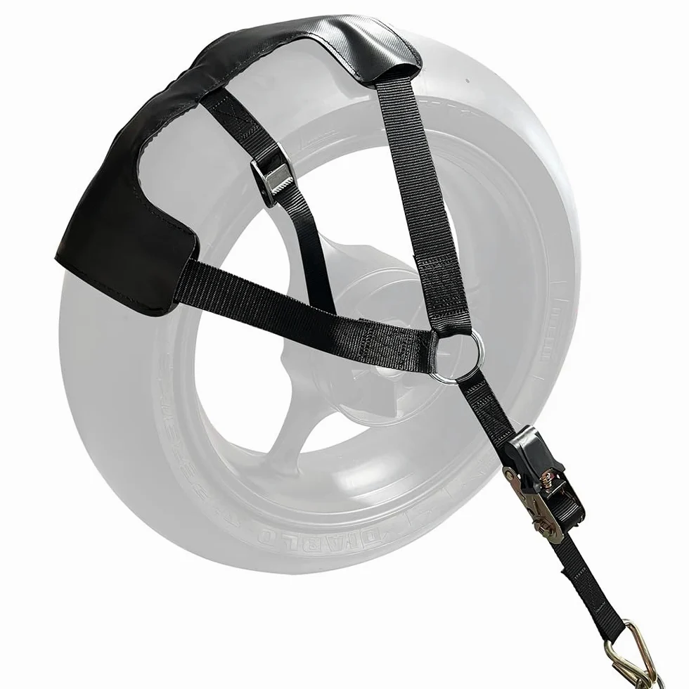 MOTO4U Correa de amarre universal para motocicleta con tensor de cinturón - Correa de amarre para rueda trasera de motocicleta en negro
