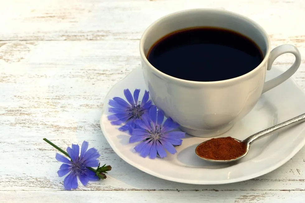 Achicoria soluble granulado sustituto del café Russki Tsikorij 150 g