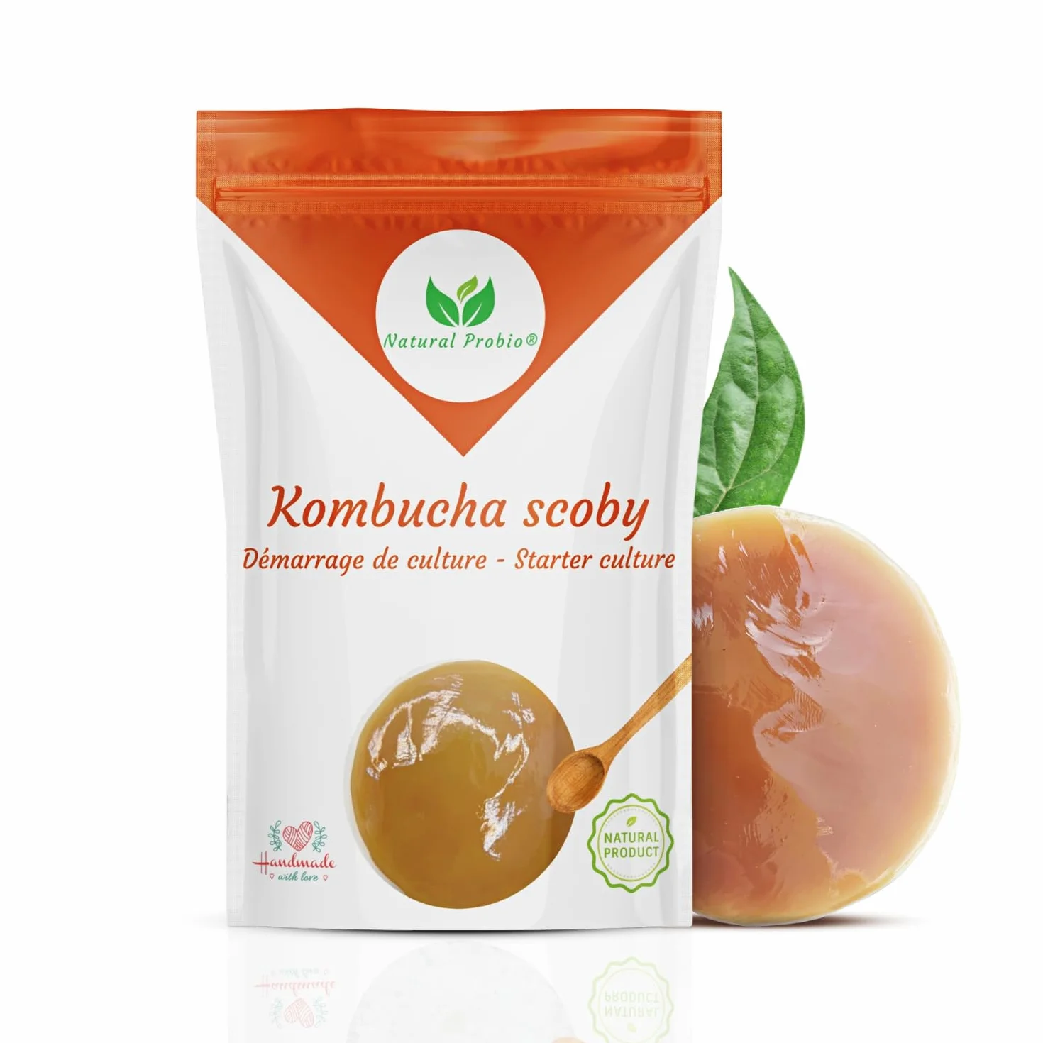 Natural Probio Original Kombucha Scoby Kit de inicio cultivo auténtica cepa madre instrucciones receta consejos