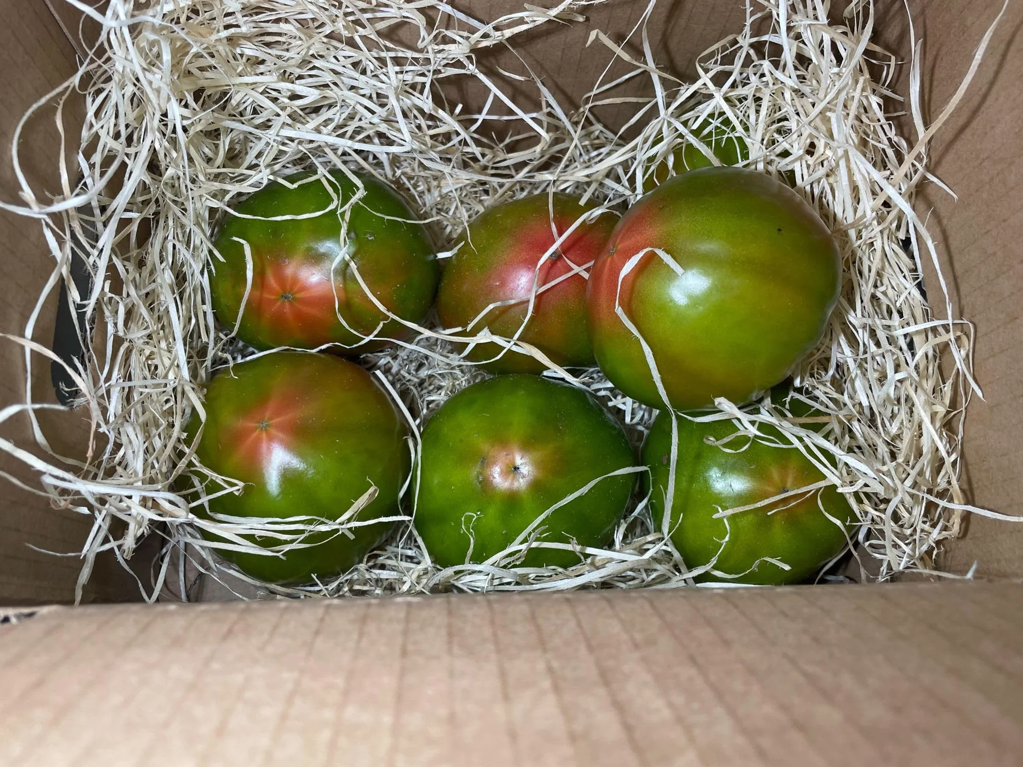Optima Tomate Ecologico Valenciano