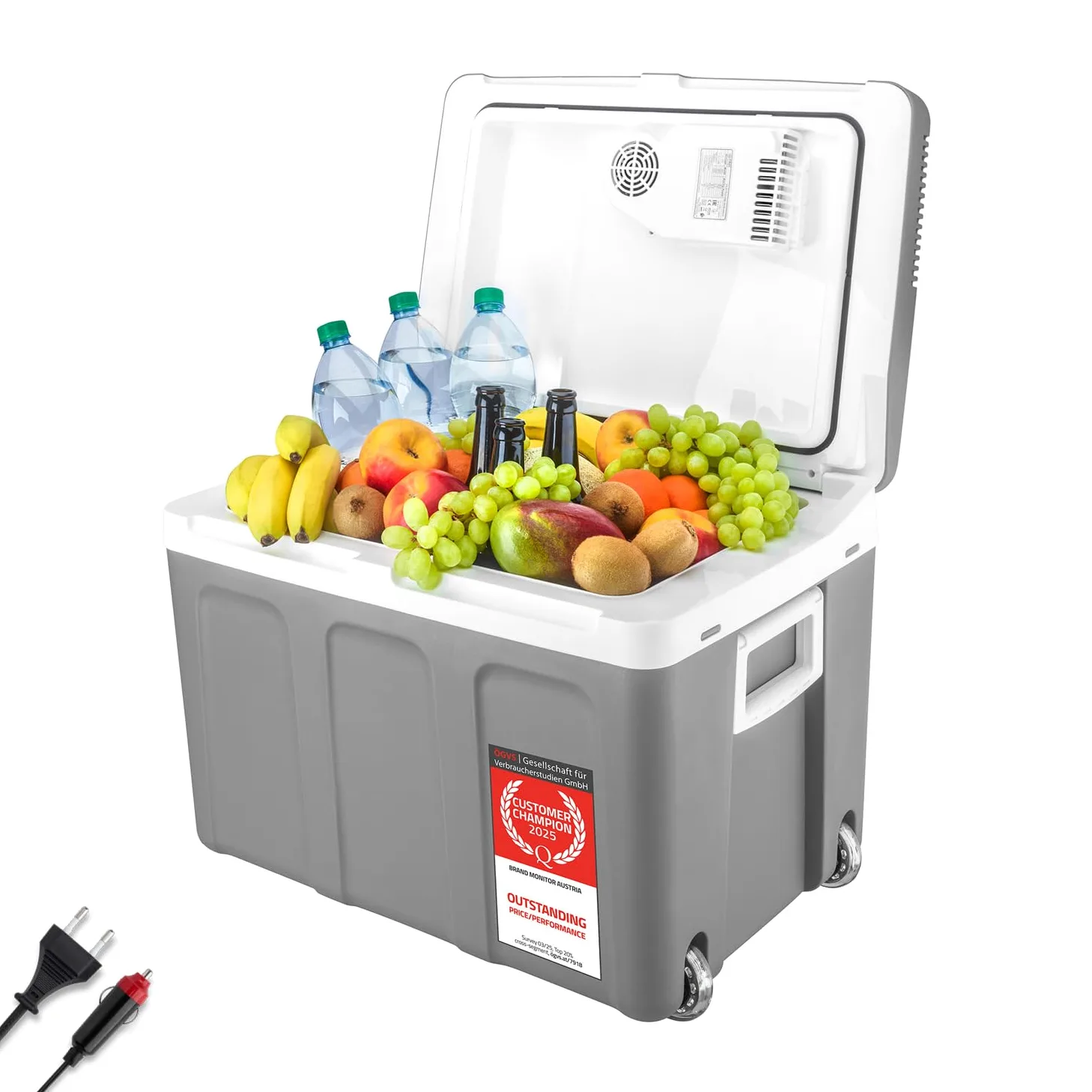 TZS First Austria Nevera eléctrica 45 litros | conexión de 12 V y 230 V | con enchufe de 12 V para el coche | para camping, festivales y viajes | con función de enfriar y mantener caliente | gris