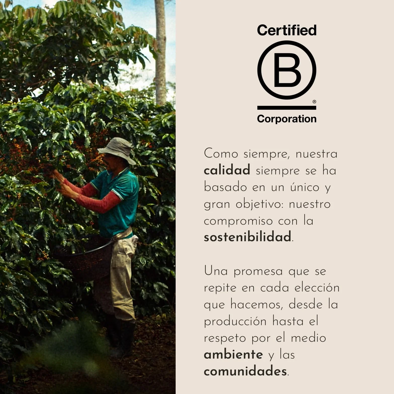 illy Café en Grano Arabica Selection Etiopía 100% Arábica 1 lata 250g