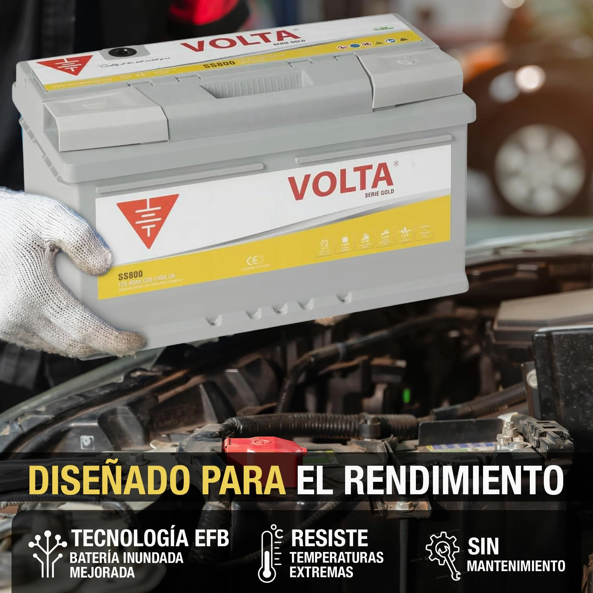 Bateria de Coche Gold 80Ah 740A Volta SS800D - Start Stop - Borne +Dcha - Medidas Largo 315 x Ancho 175 x Alto 175 mm con 2 años de Garantía - Fabricación Europea.