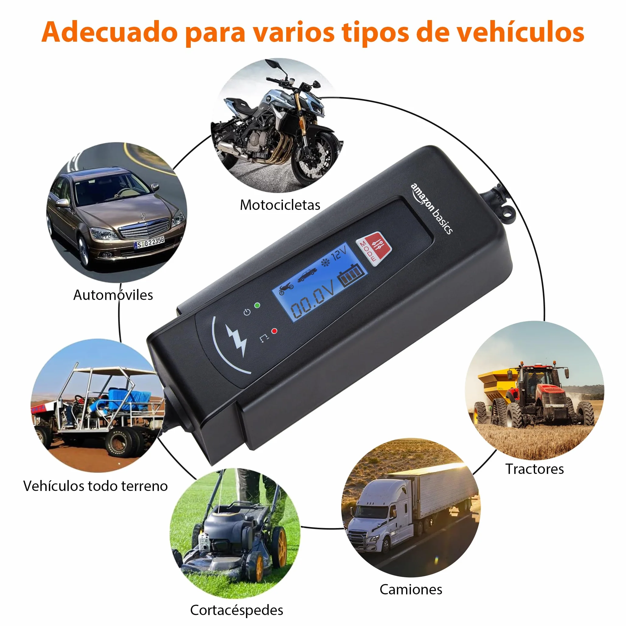 Amazon Basics Cargador de batería inteligente automático con función de probador de batería, enchufe UE, salida : 2A/4A, 6V/12V CC, Negro