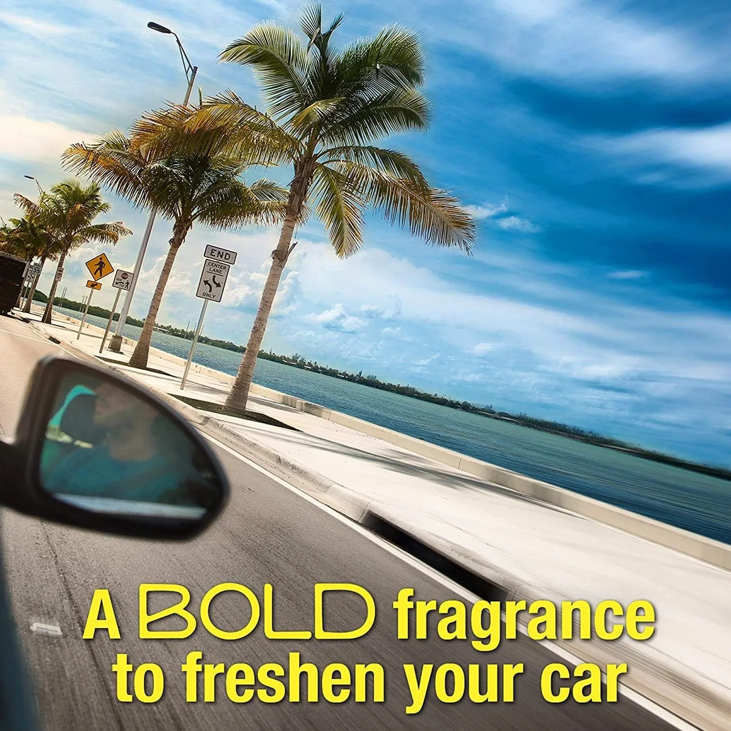 California Scents Ambientador de Coche con Fragancia, Olor y Esencias a Newport New Car, Olor a Aroma de Coche Nuevo, Pack de 12 Latas, 1 Unidad (Paquete de 12)