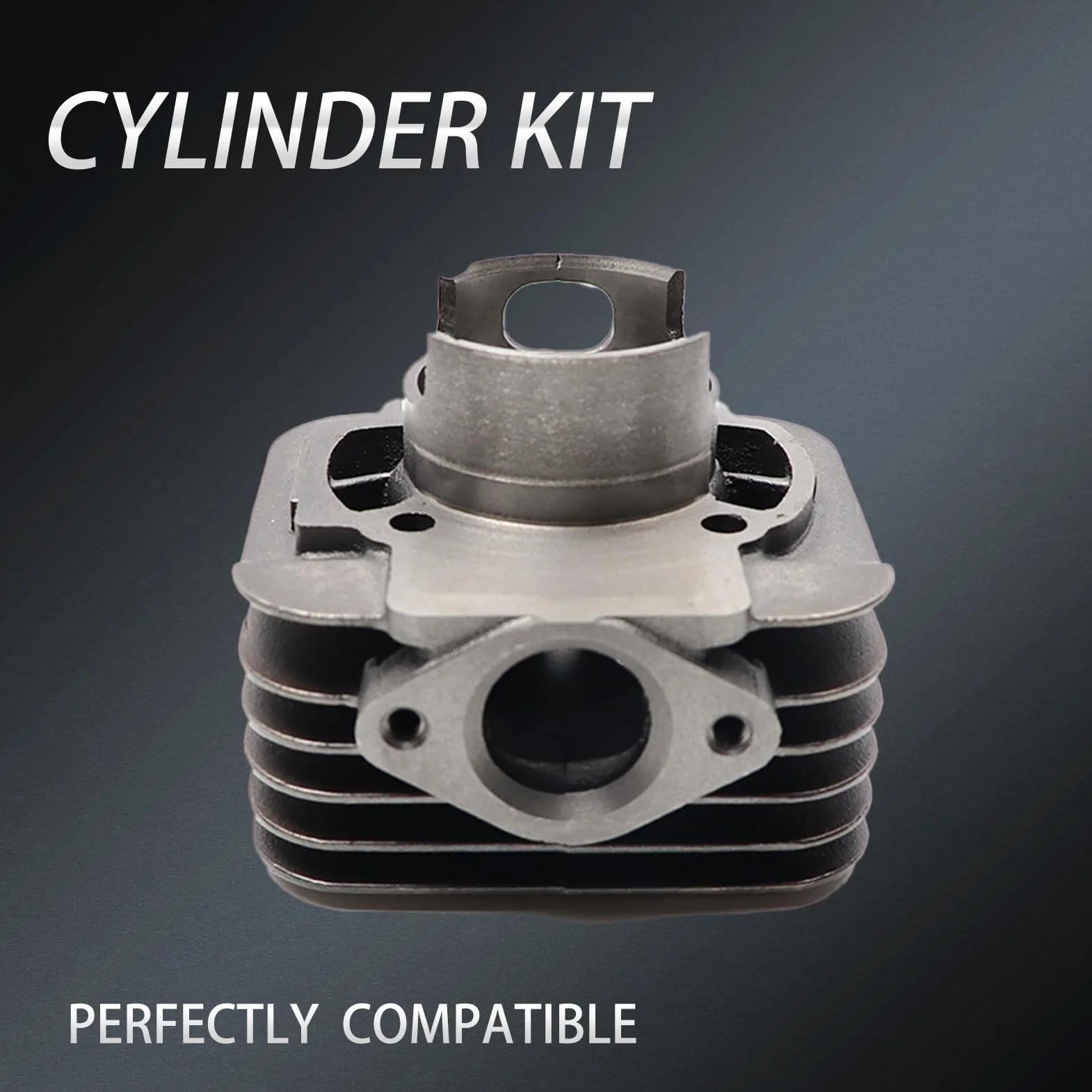 Kit Cilindro Gruppo termico DR Evolution 70cc D.48 Piggio AC ARIA SP.12 GHISA en fundición refrigerado por aire para motores Piggio Gilera 6 transferencias con escape elíptico y cabeza