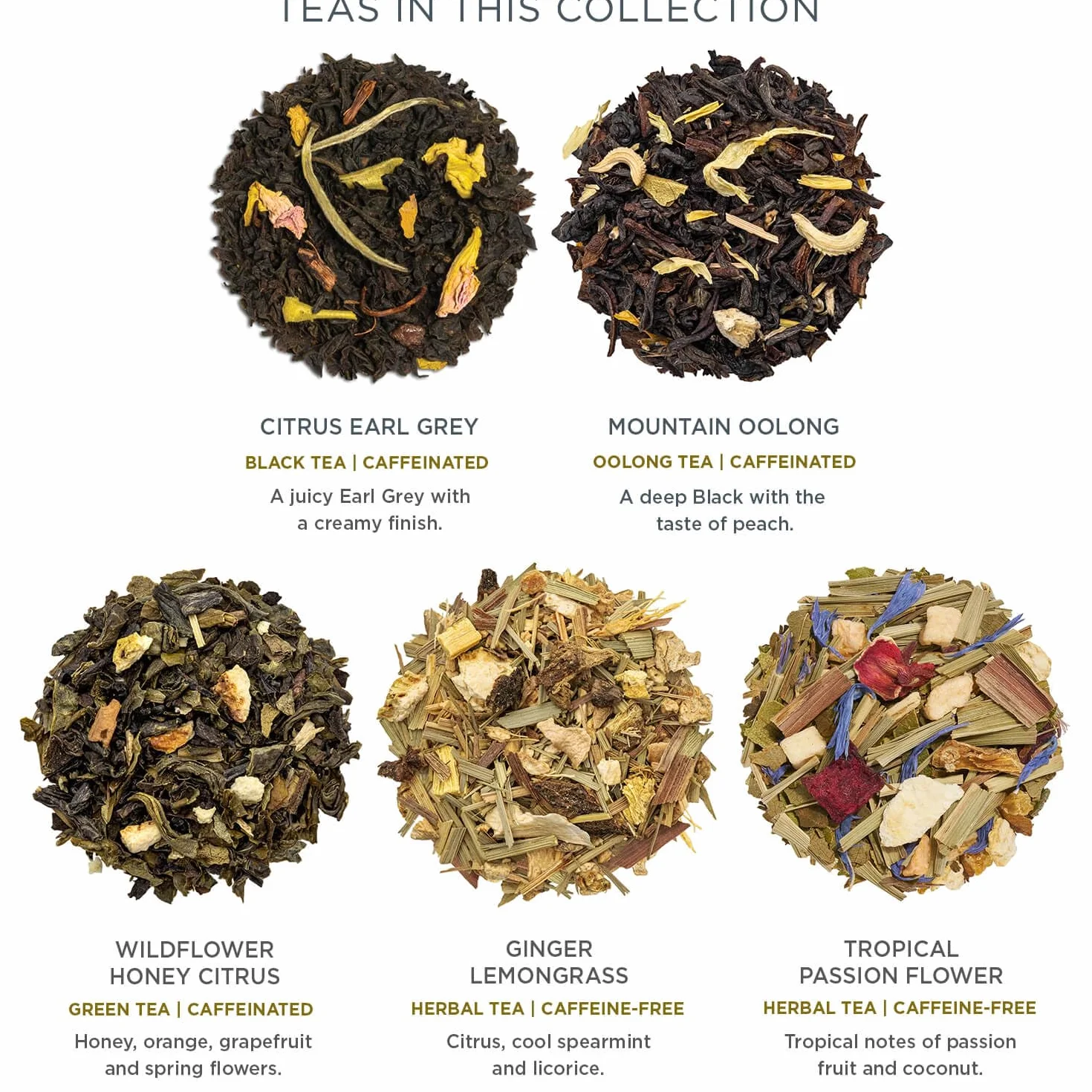 Tea Forte Demoiselle Premium Tea Petite Caja de Presentación, Juego de Regalo de Muestra de Té, 10 Unidades, Bolsas Infusoras Piramidales