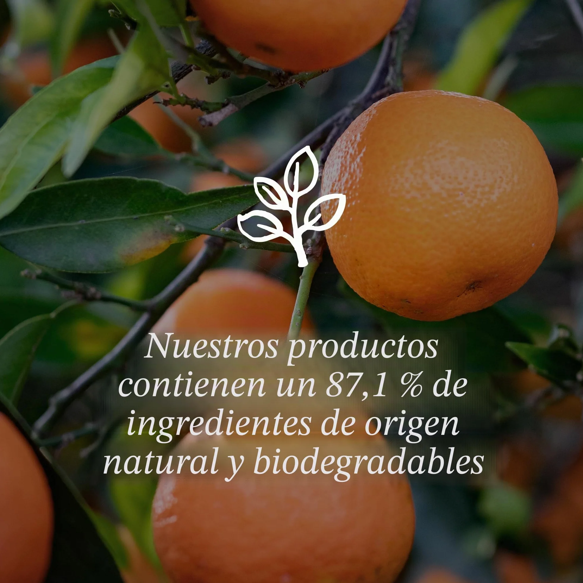 Davines Oi Oil Reestructurante Sin Aclarado 50 ml