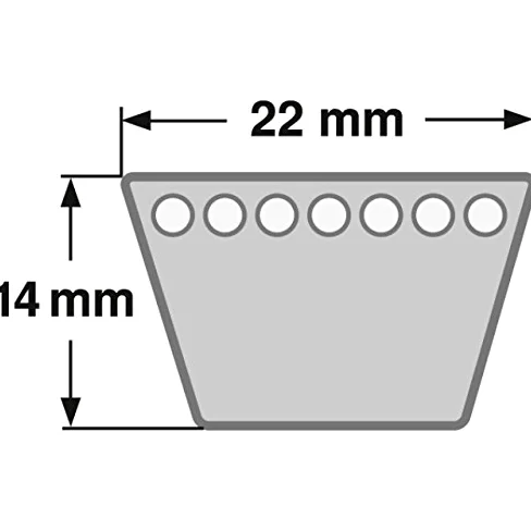 Correa trapezoidal 22 x 5029 Li - C 198 ConCar