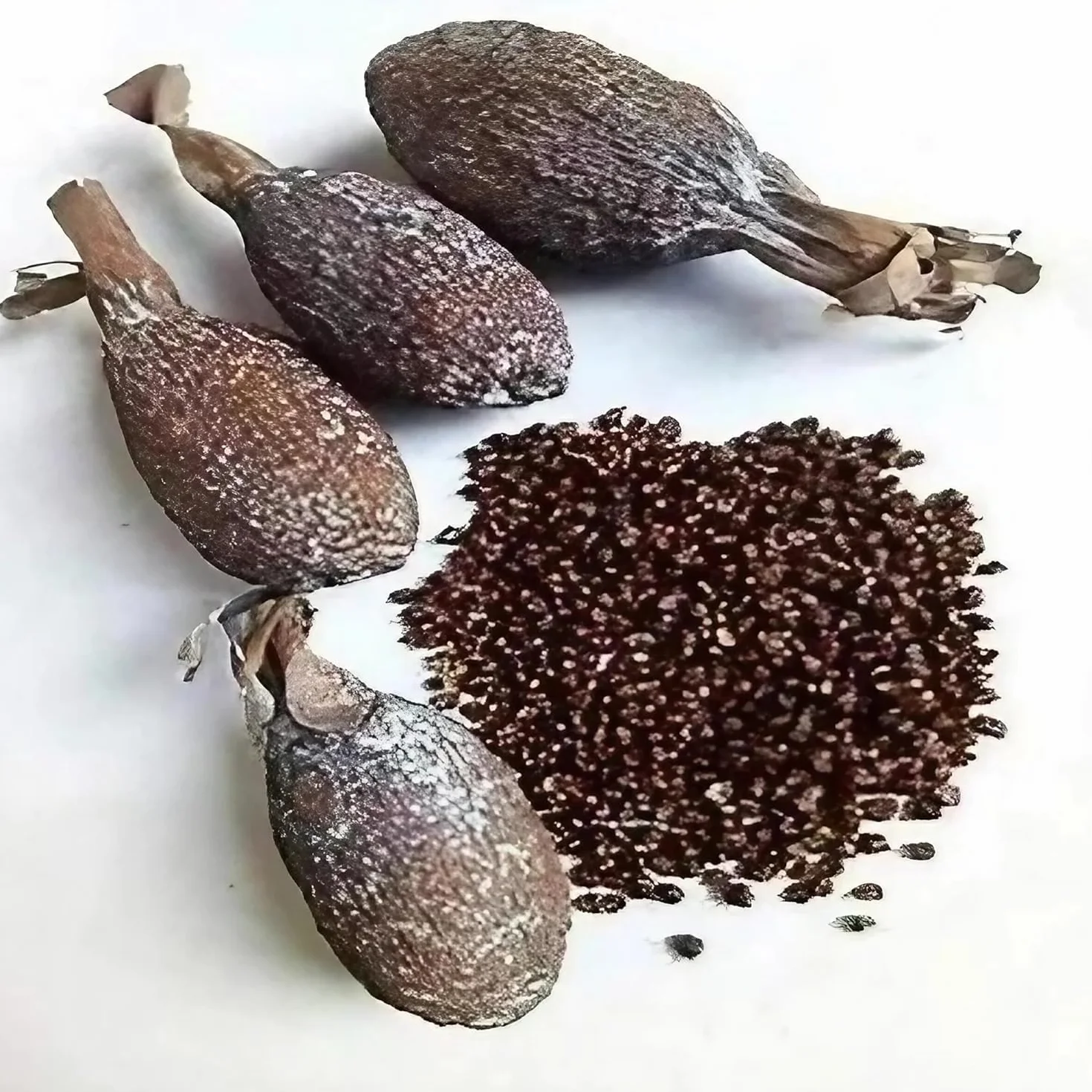 RMY Manigueta entera vaina de guinea de chile pimiento de cocodrilo 6 PCS