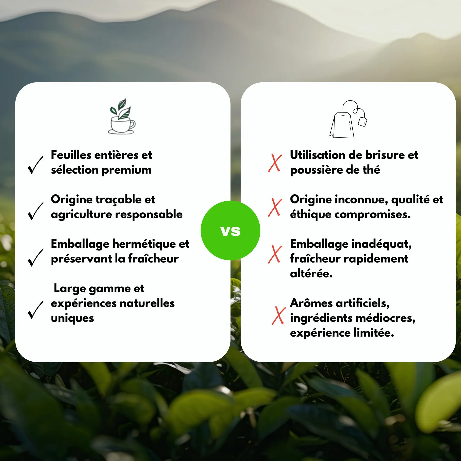 Rooibos Bio Bayas silvestres Frutas rojas Té a granel 100 g 40 tazas Agricultura orgánica Mes-tés