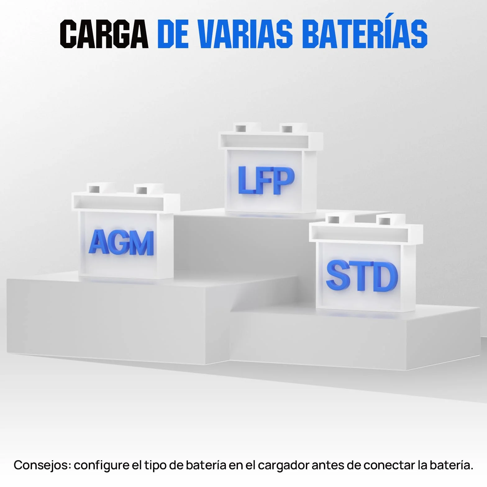 ECO-WORTHY 12 V/24 V 20 A Cargador de batería LiFePO4 con opciones multicanal 5 A/10 A/15 A/20 A, detección automática de voltaje de la batería Ploácido LiFePO4