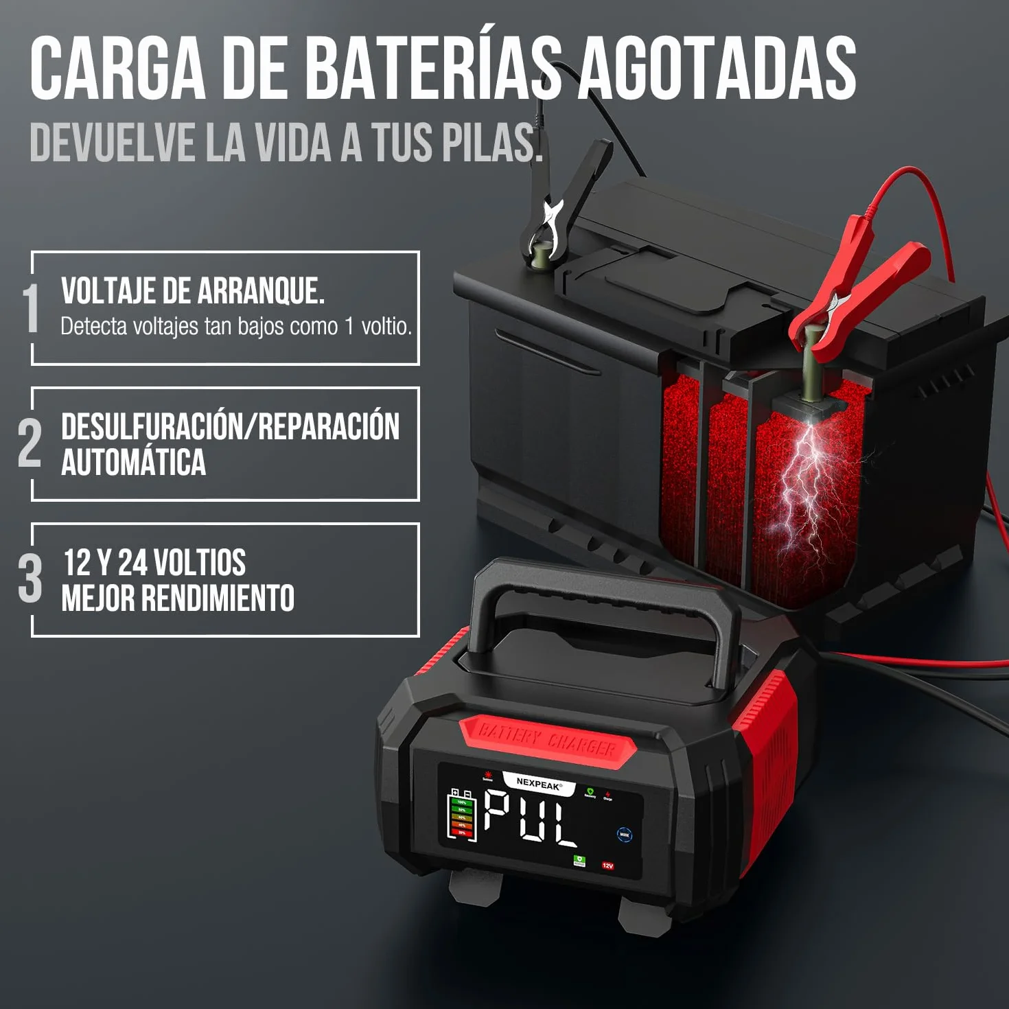 15A Cargador de Batería de Coche, NEXPEAK NC315 12V 24V LiFePO4 Cargador de Batería de Coche Portátil 9-Etapas Batería Inteligente para Coche, Camión, Moto, Cortacésped, Barco, Marina