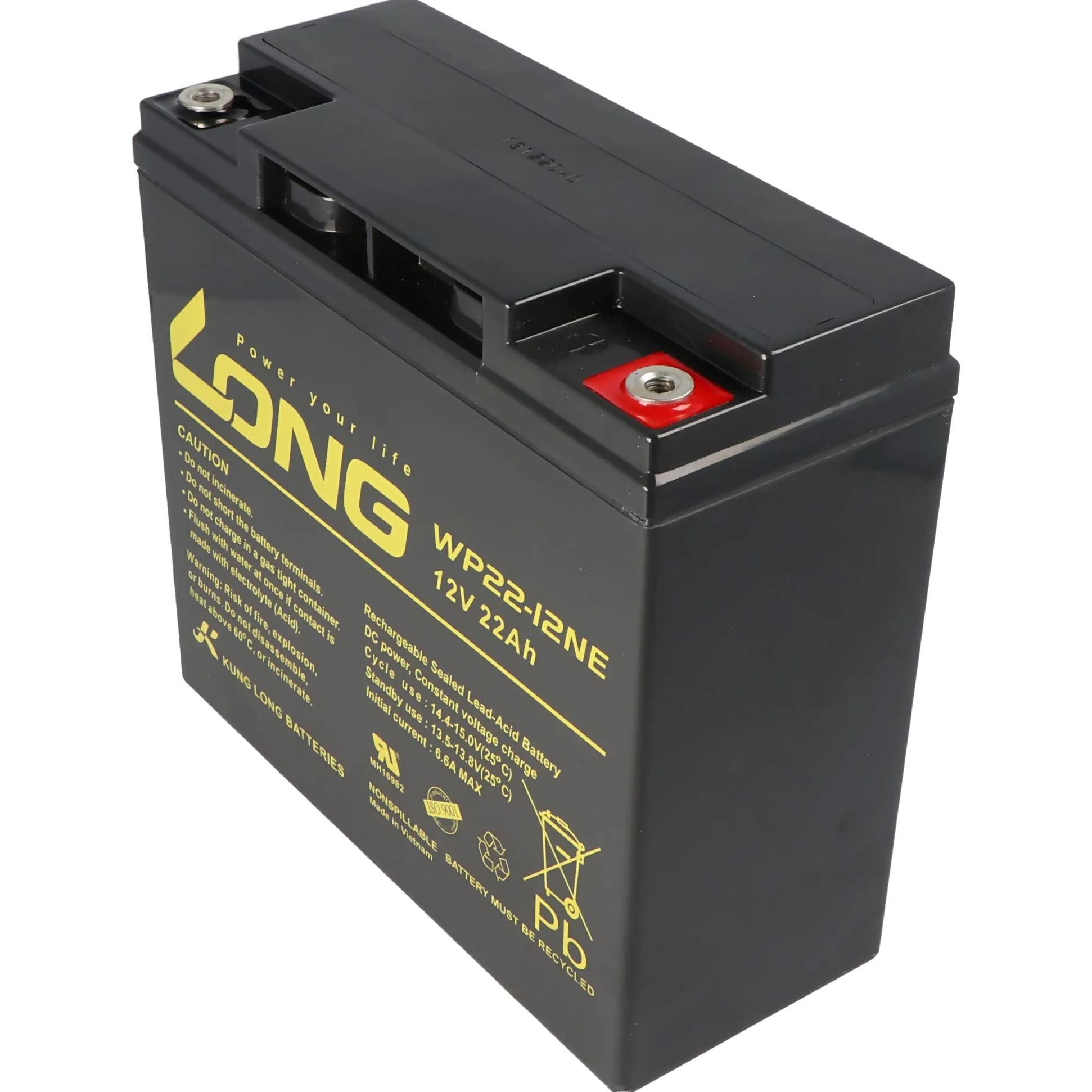 Kung Long WP22-12NE - Batería (12 V, 22 Ah, 181 x 76 x 167 mm, rosca interior M6)