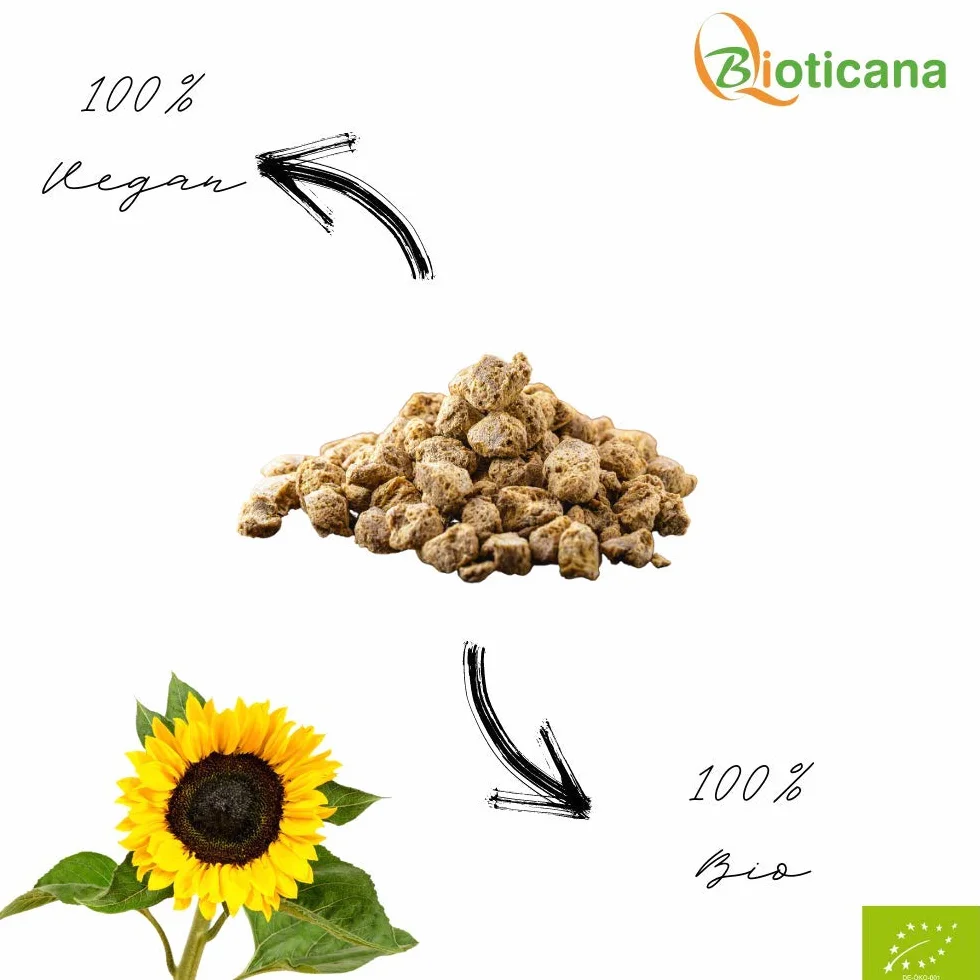 Sustituto de carne picada de girasol ecológica 500 g proteína vegetal vegano sin gluten
