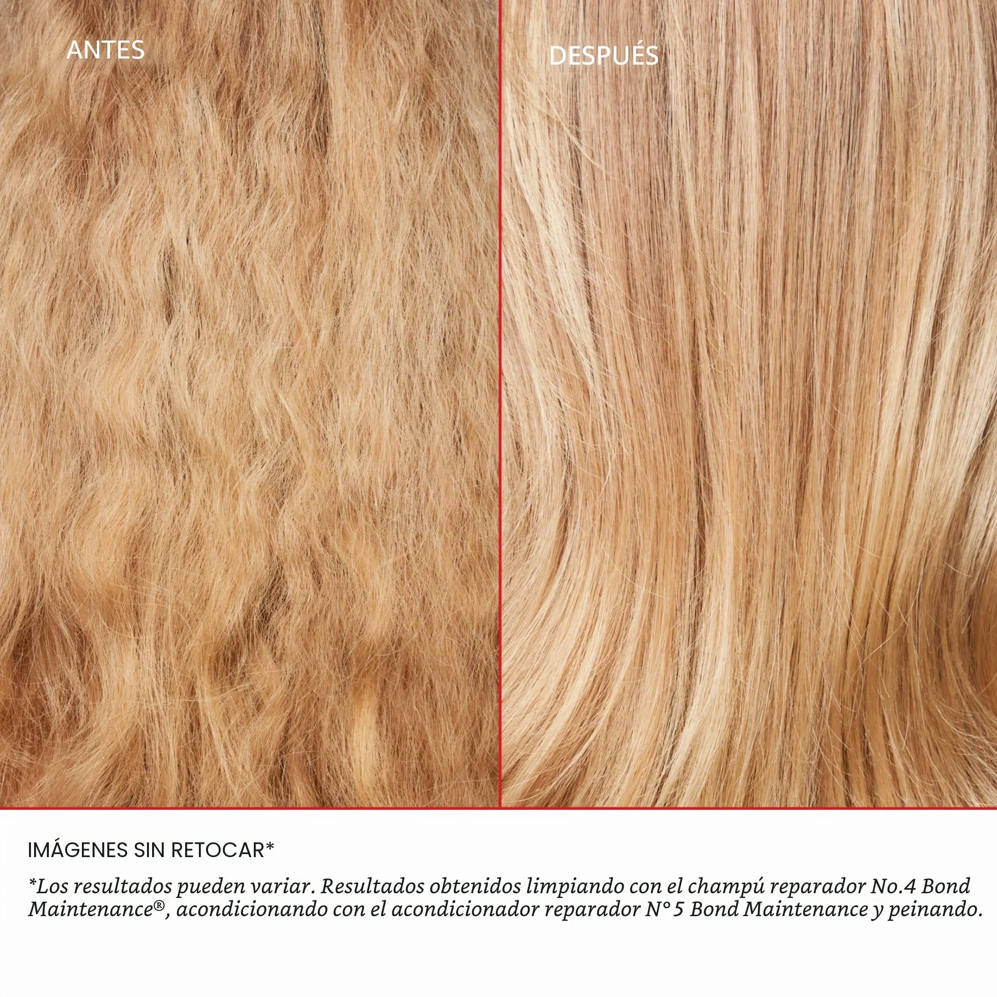 Healthy Hair Discovery Set