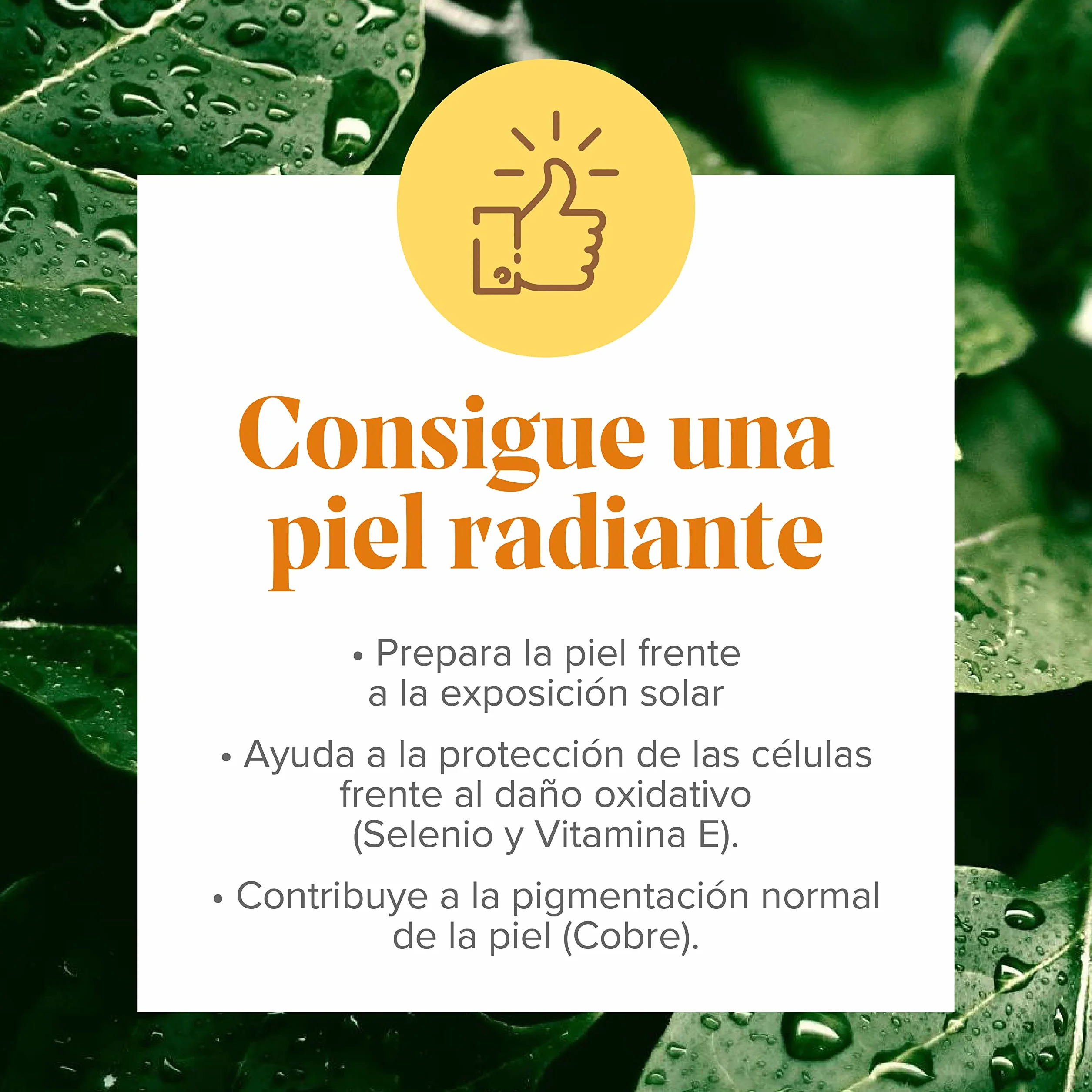 Arkopharma Arkosol Intensivo 30 Perlas Betacarotenos Cobre Vitamina E Selenio Complemento Alimenticio Preparar Piel para el Sol