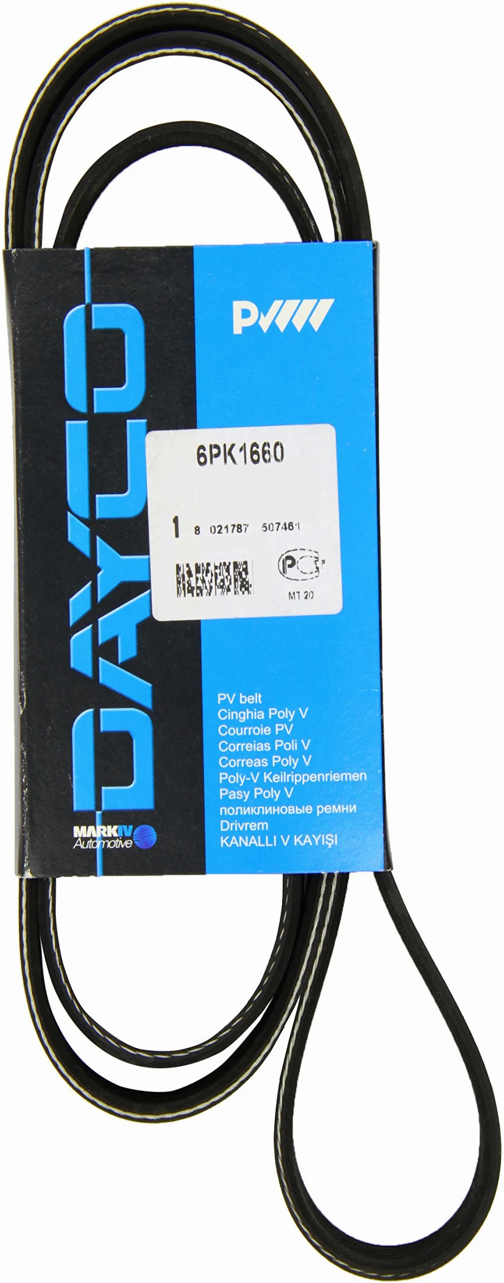 Dayco Ktbwp3600 Bomba De Agua Con Kit Correa Distribución + 6Pk1660 Correa Trapecial Poli V