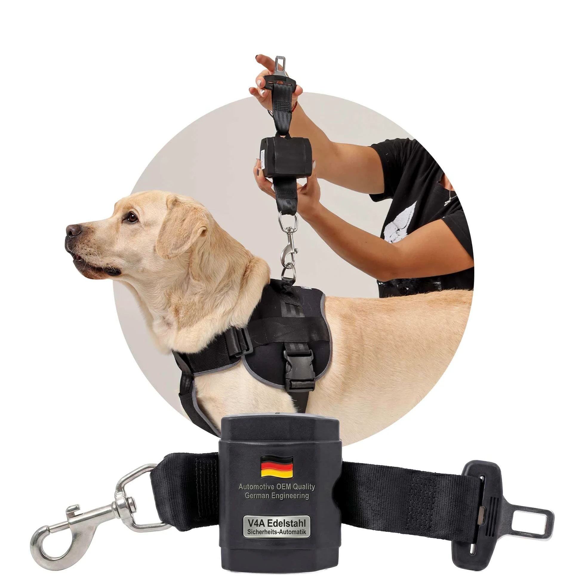Cinturón de Seguridad Extensible para Perros - para Perros medianos y Grandes - para Coche
