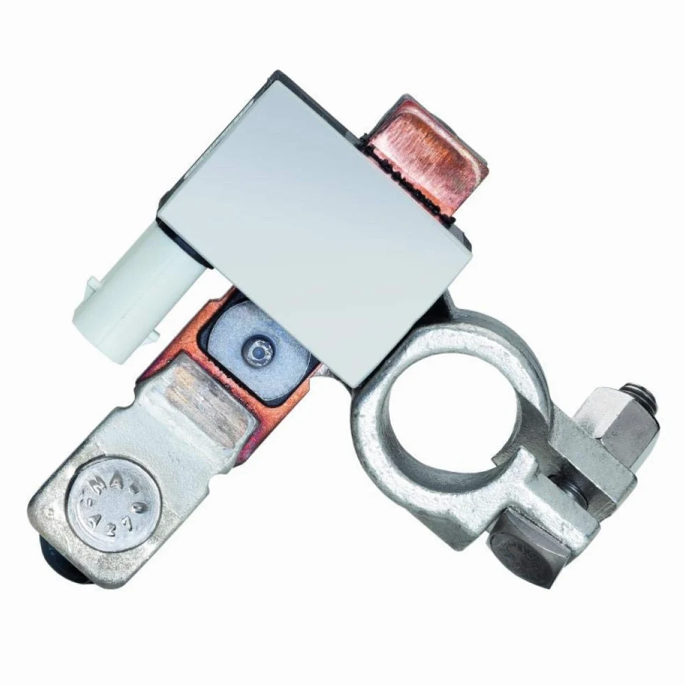 HELLA 6PK 011 700-001 Sensor, control de batería - 24V