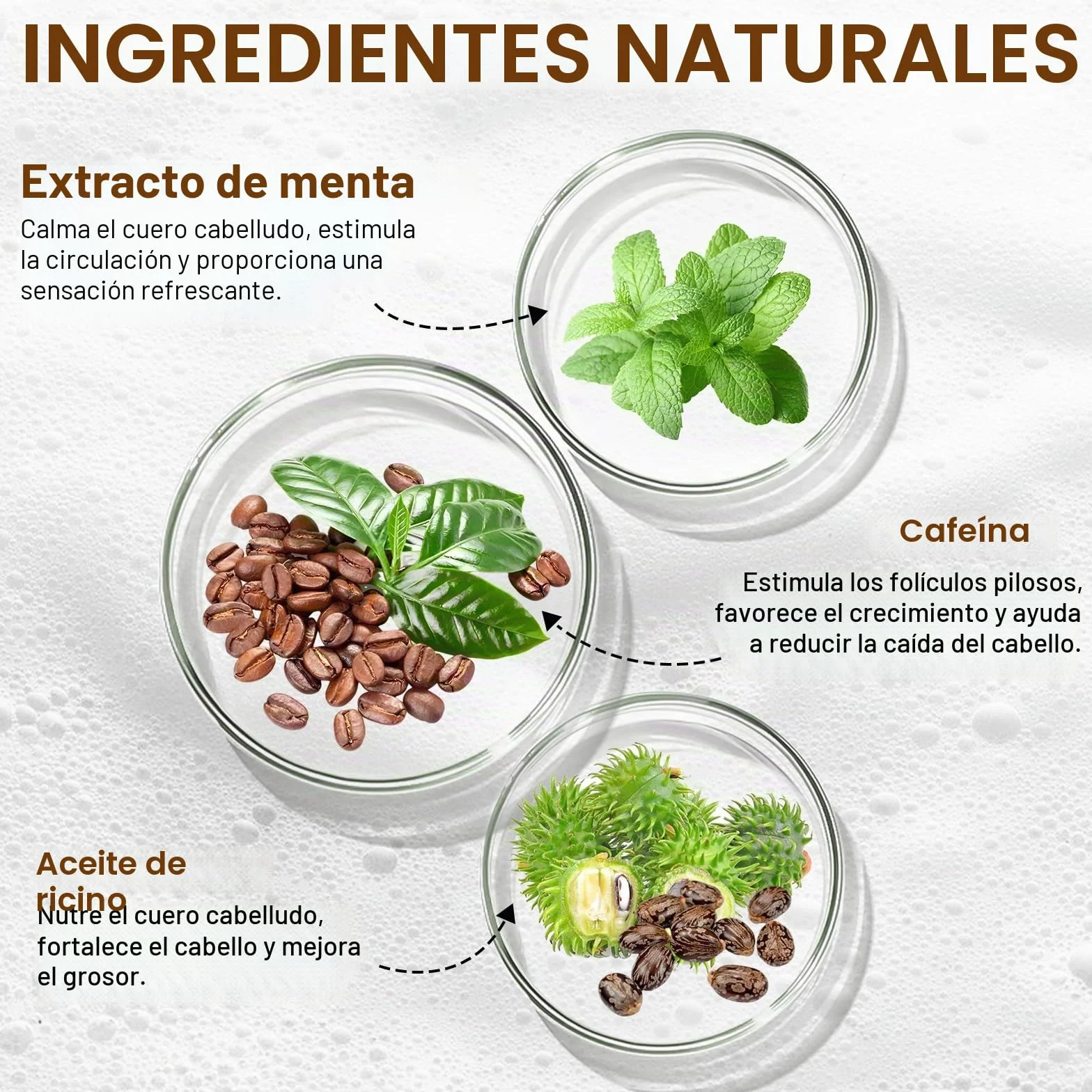 Champú de crecimiento capilar con cafeína, biotina y romero