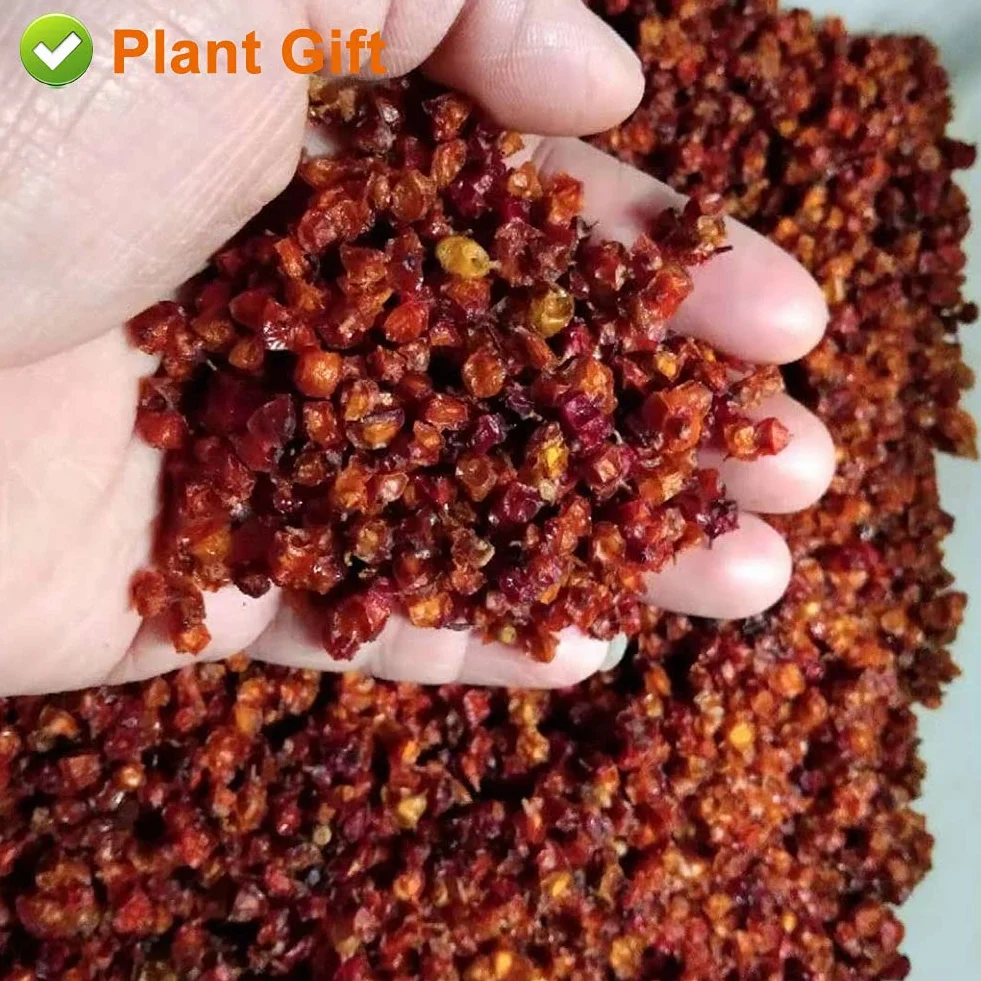 Sea Buckthorn Dried Berries 80g Natural Fruit, No Additives, Yogurt, Smoothie, Snacks