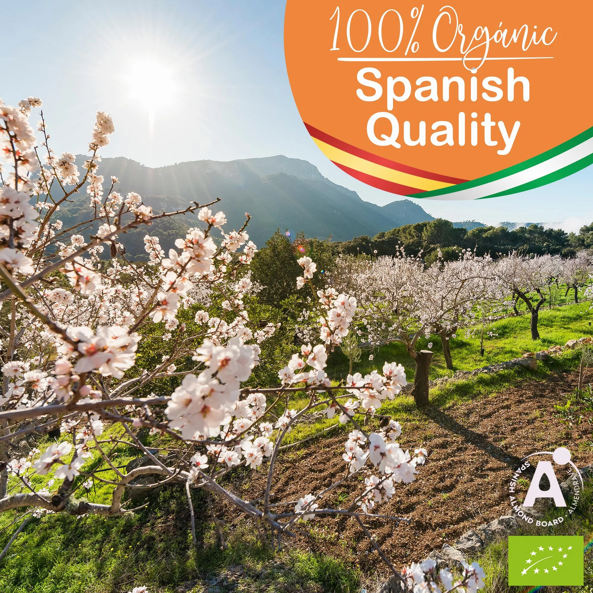 Aceite de Almendras Orgánico Prensado en Frío Puro 5000 ml para Masaje Cabello Pestañas Hidratante Corporal