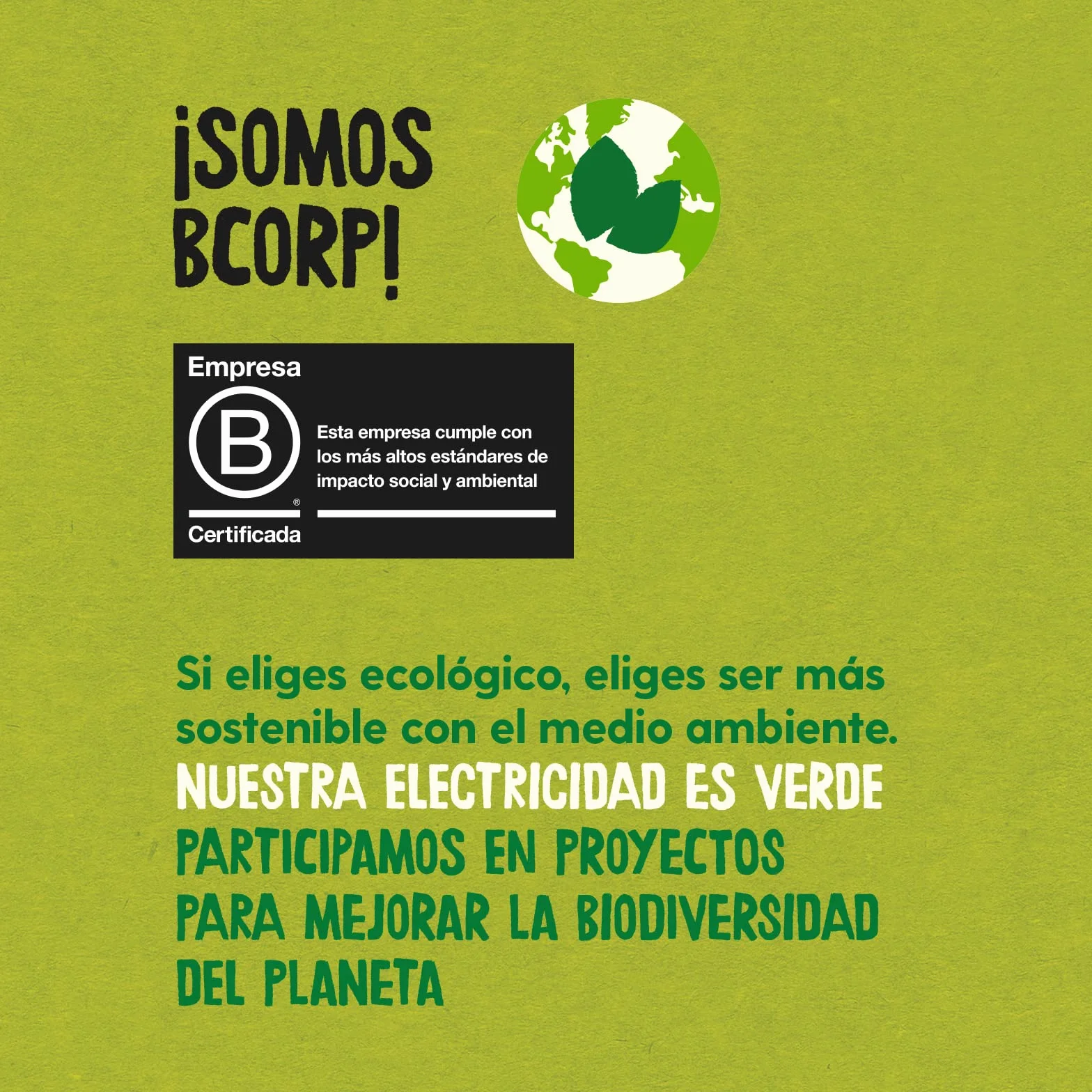 Soja Texturizada Fina Ecológica 250 g Sin Azúcar Añadido Vegana Alto Contenido en Proteínas y Fibra