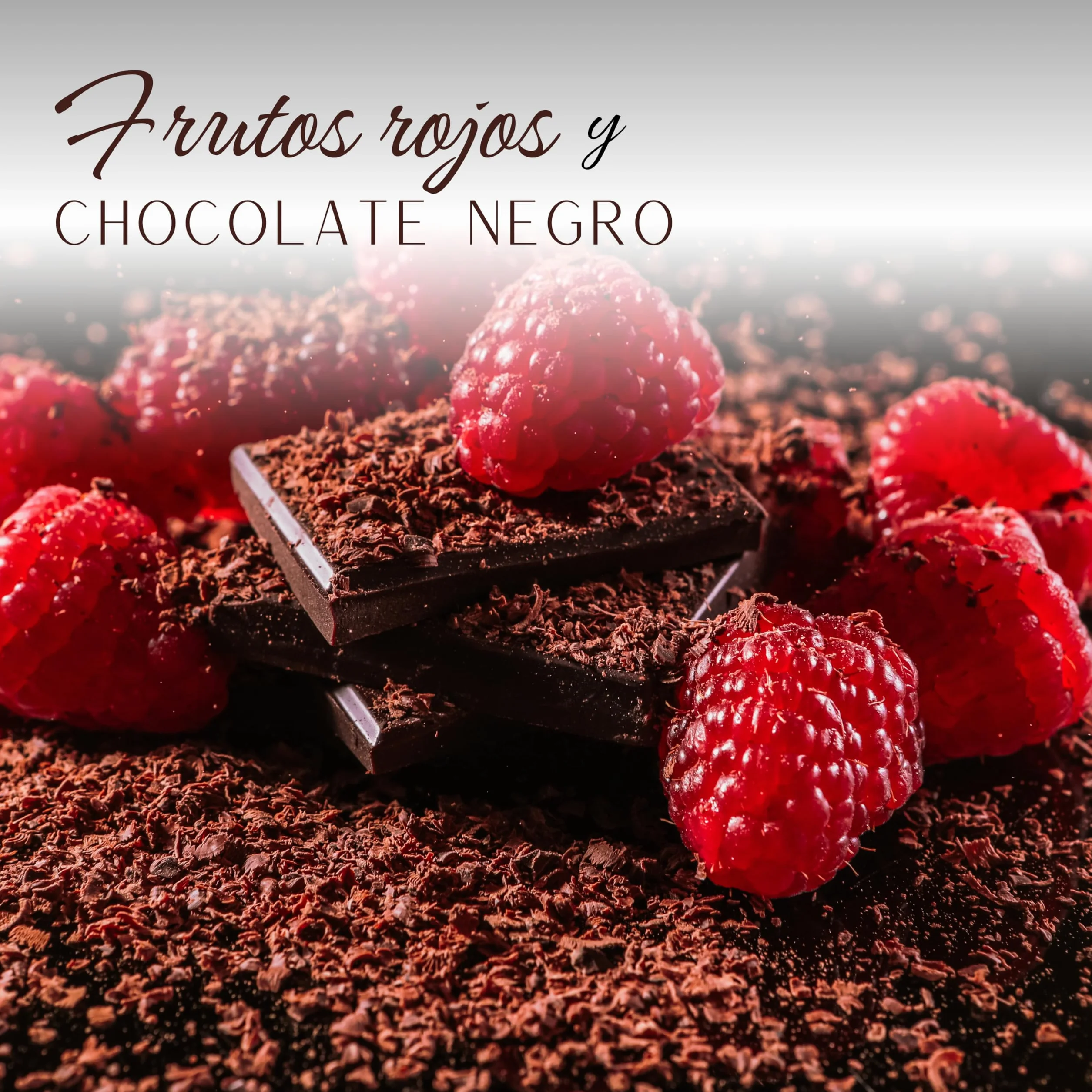Degustación Turrones Chocolates de Autor 3 gustos Coco & Chocolate con leche Turrón de Frutos Rojos & Chocolate Negro Turrón de Caramelo a la Sal & Chocolate con Leche 3 x 100g Pack 300g