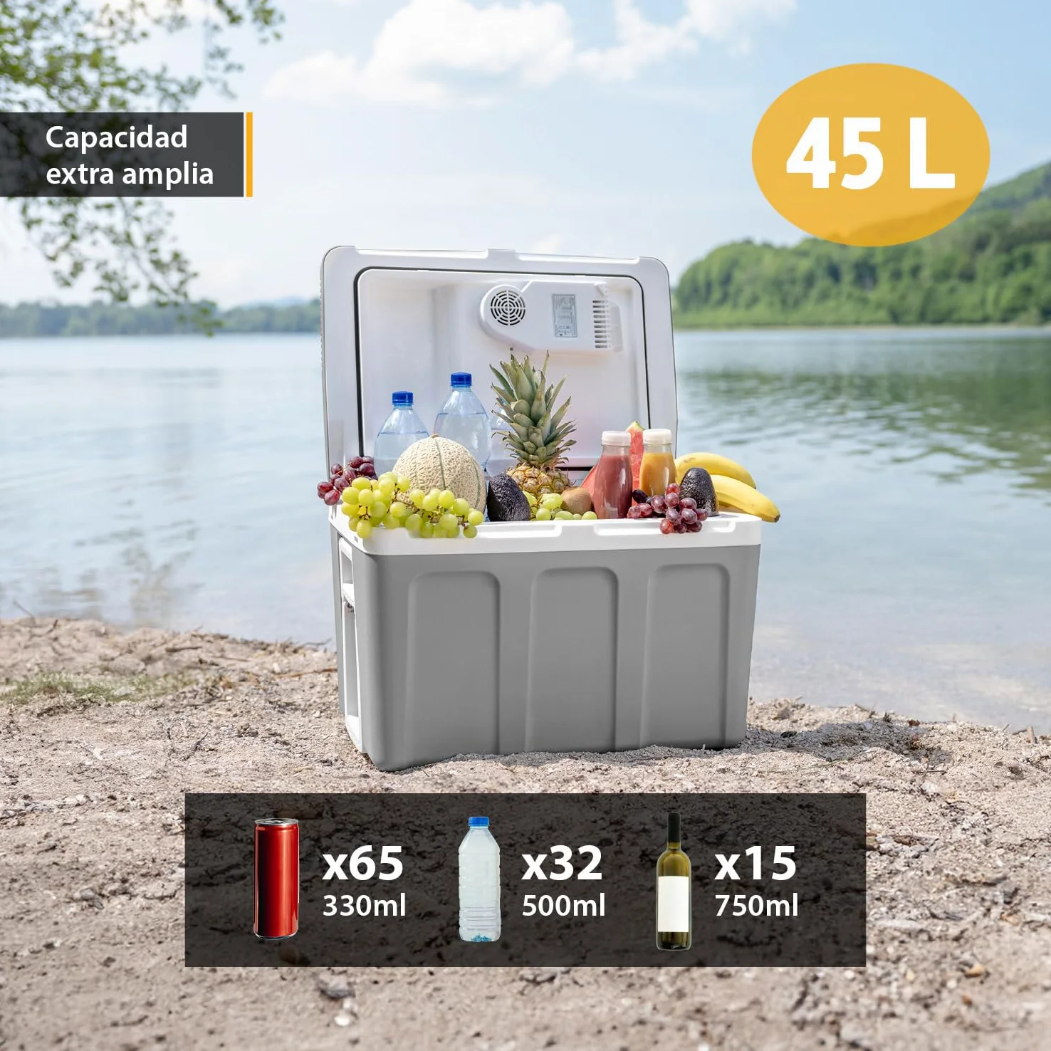 TZS First Austria Nevera eléctrica 45 litros | conexión de 12 V y 230 V | con enchufe de 12 V para el coche | para camping, festivales y viajes | con función de enfriar y mantener caliente | gris