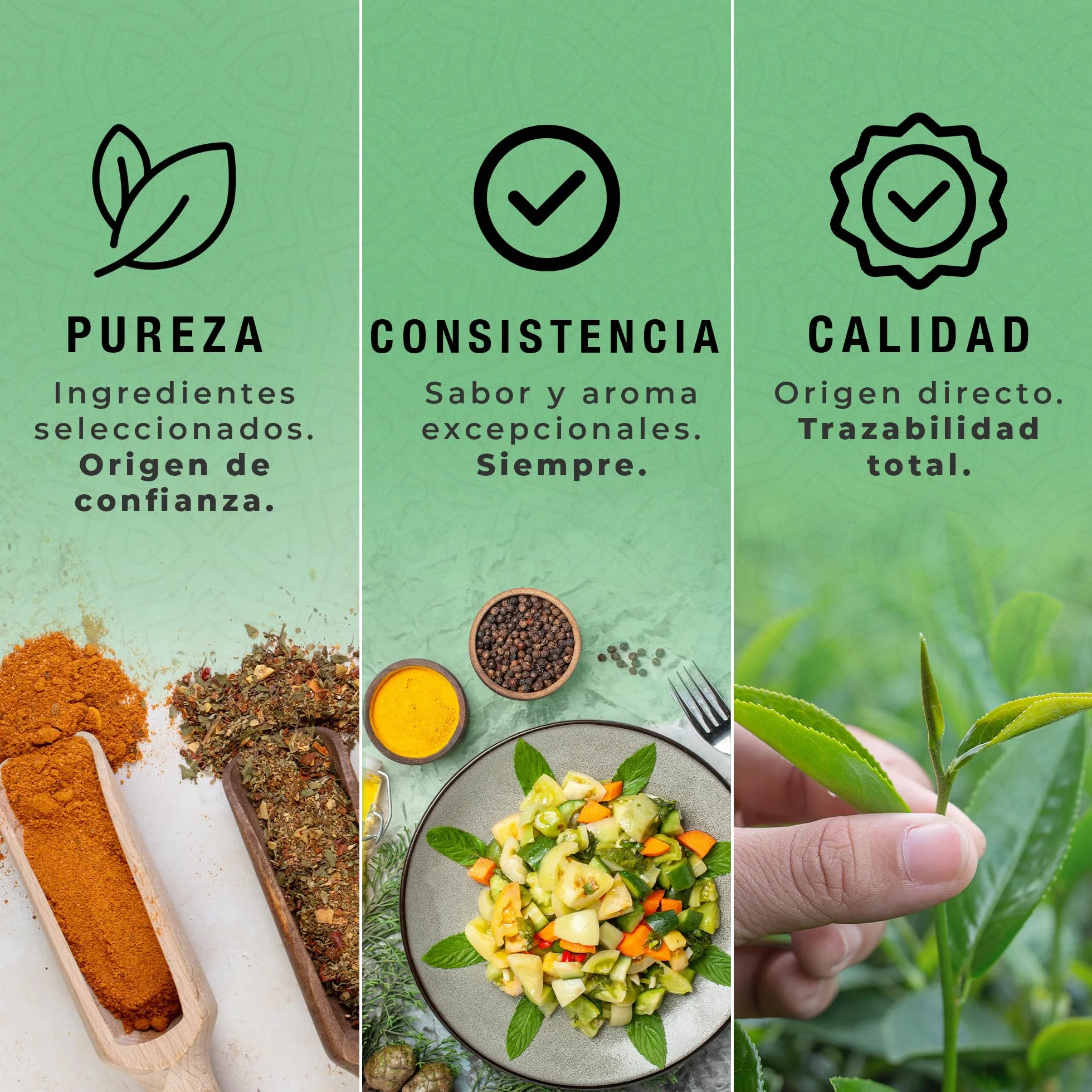 Spicy Welt Polvo de Mango Liofilizado 100g Natural Sin Endulzado